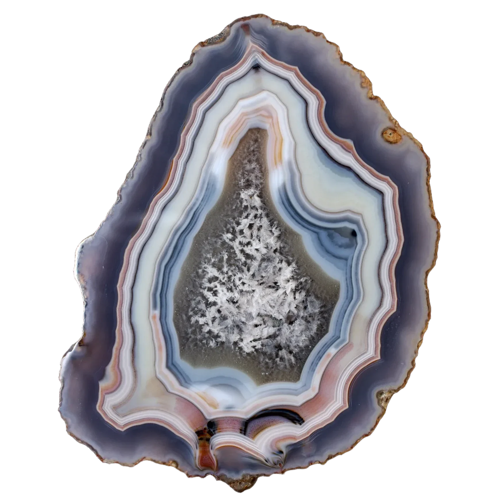 Drift Rise (LAG25782) – $460 – Agates From Mexico
