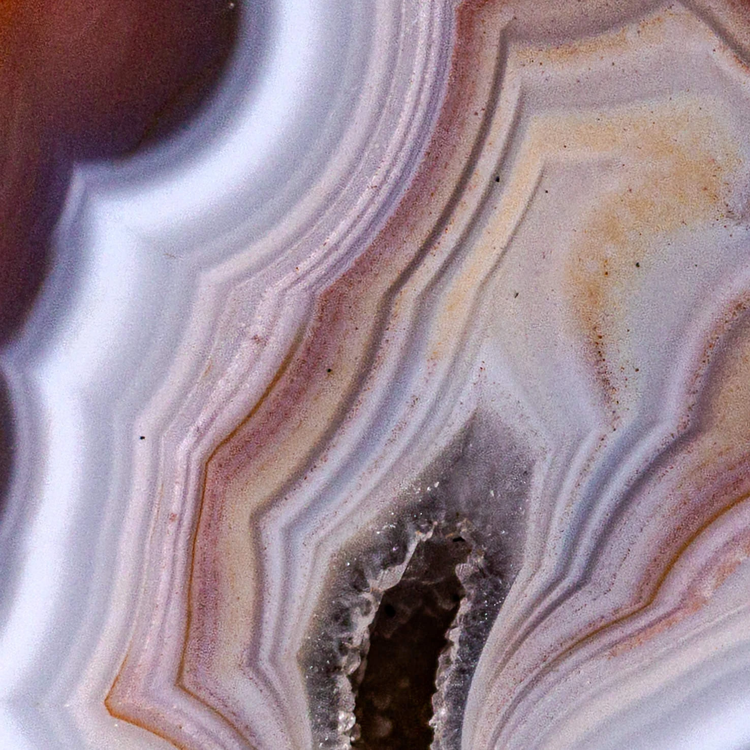 Copper Rainbow - view 3