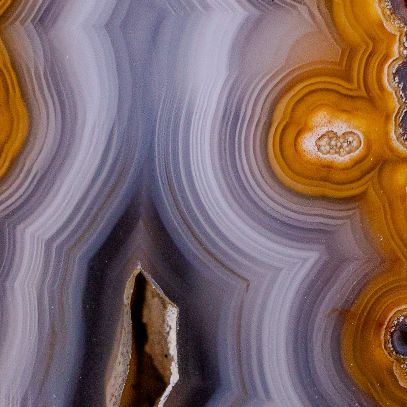 Golden Veil - view 3