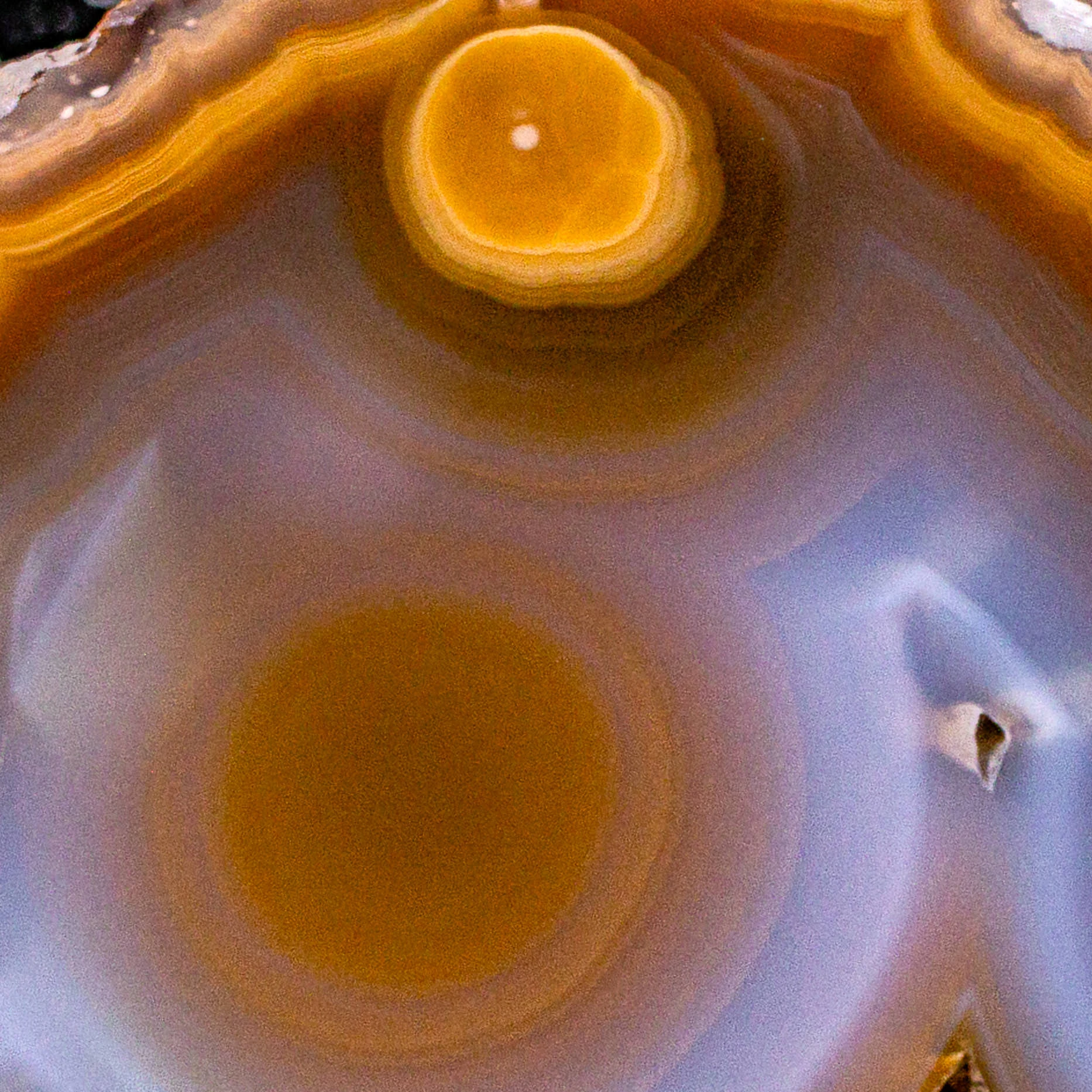 Space Traveler - view 3