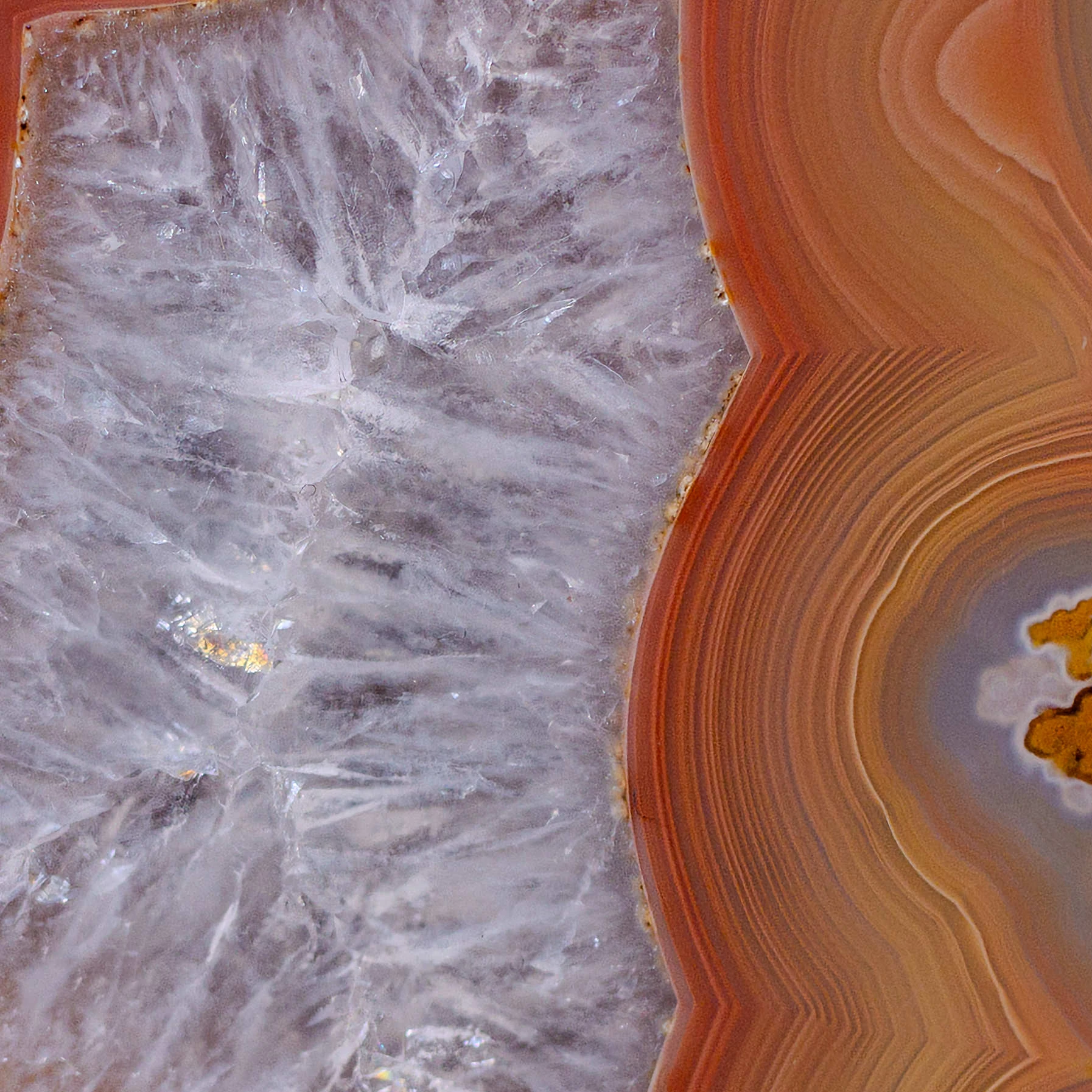 Orange Rise  - view 3