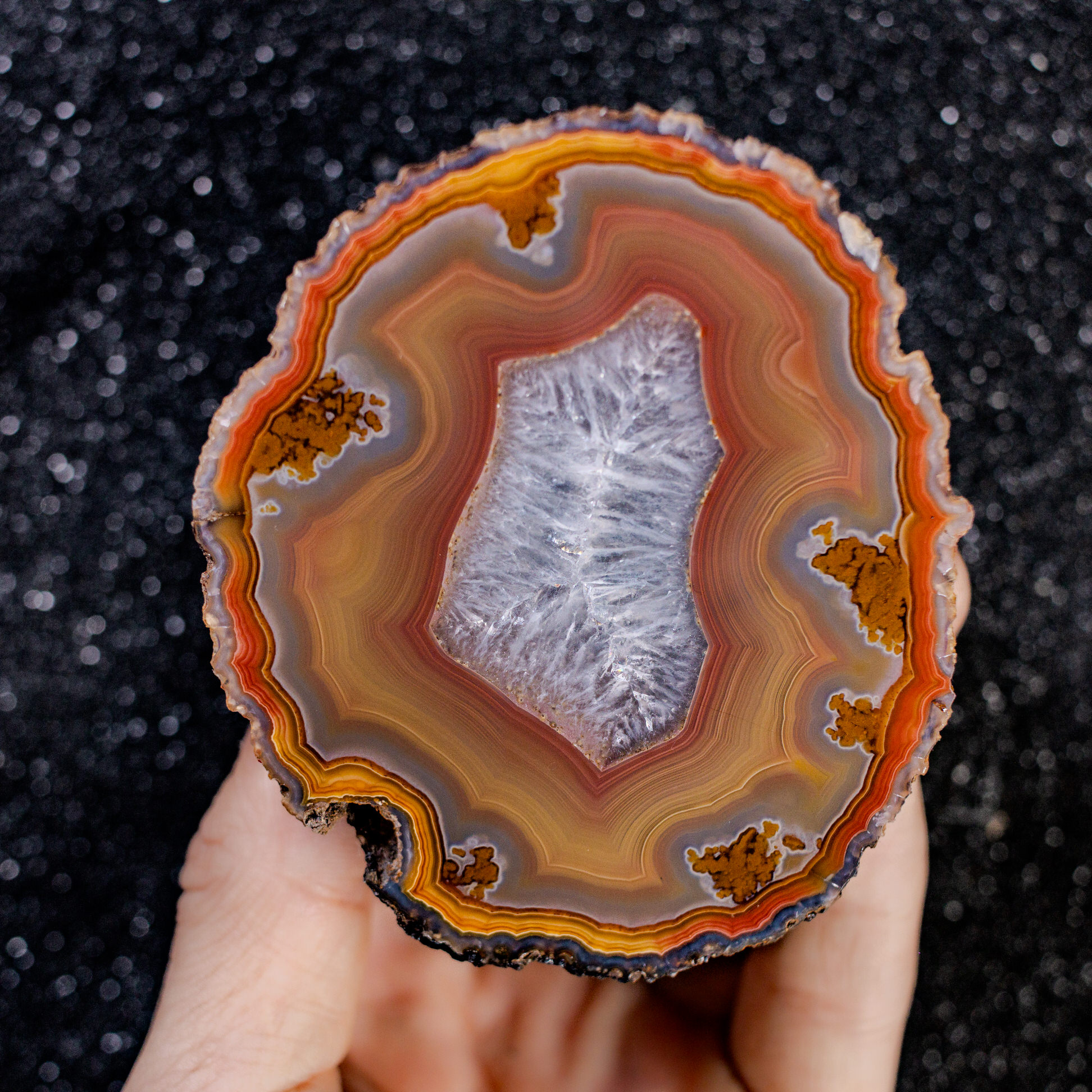 Orange Rise  - view 2