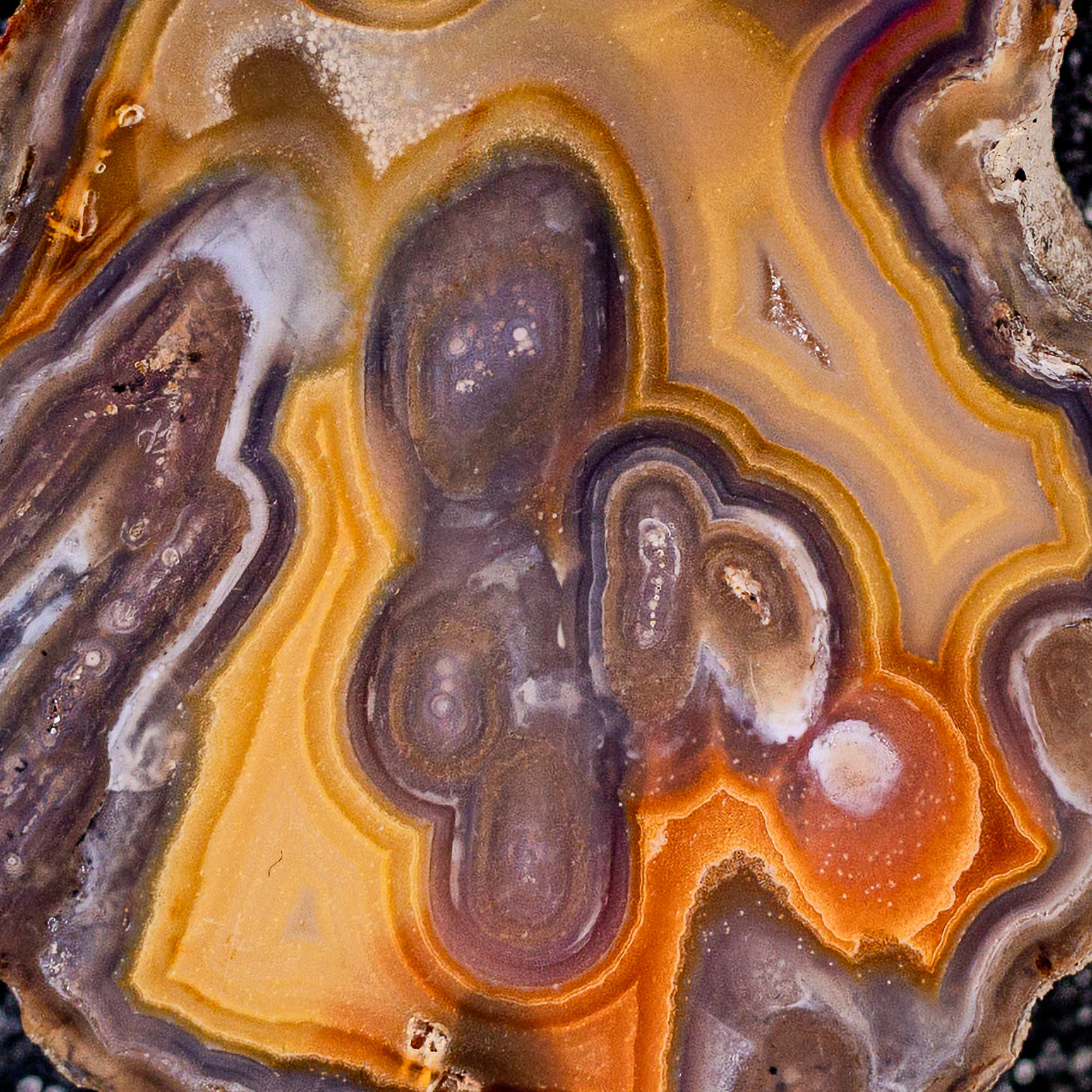 Fiery Swirls - view 3