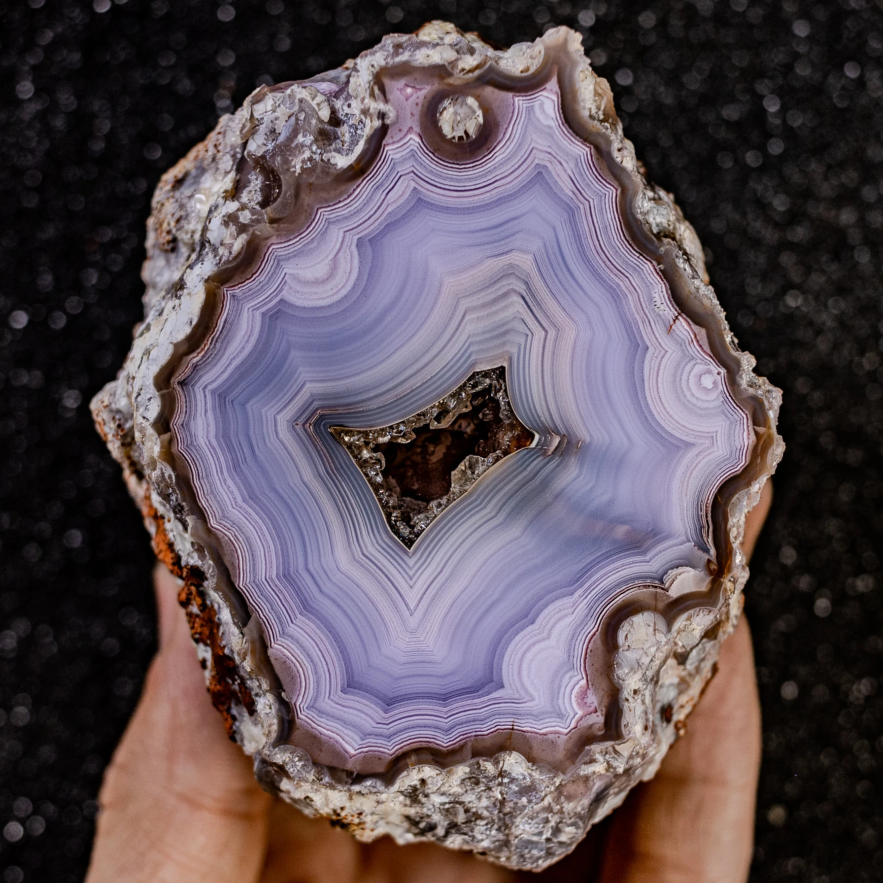Violet Crown - view 2
