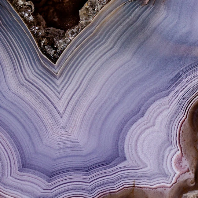 Violet Crown - view 4
