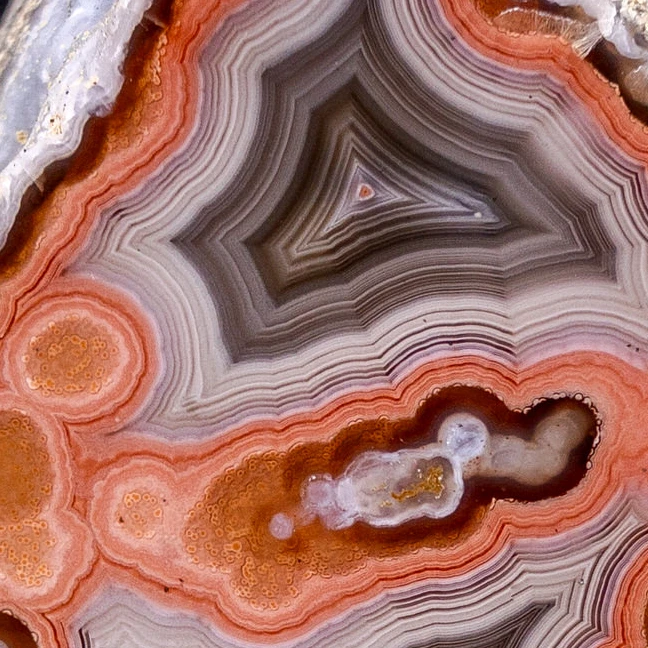 Crimson Nexus - view 4