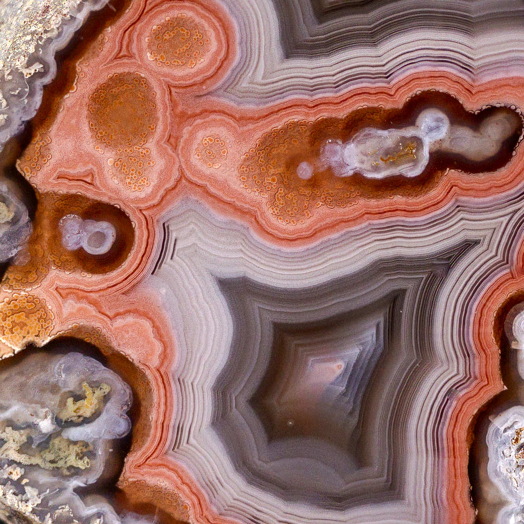 Crimson Nexus - view 3