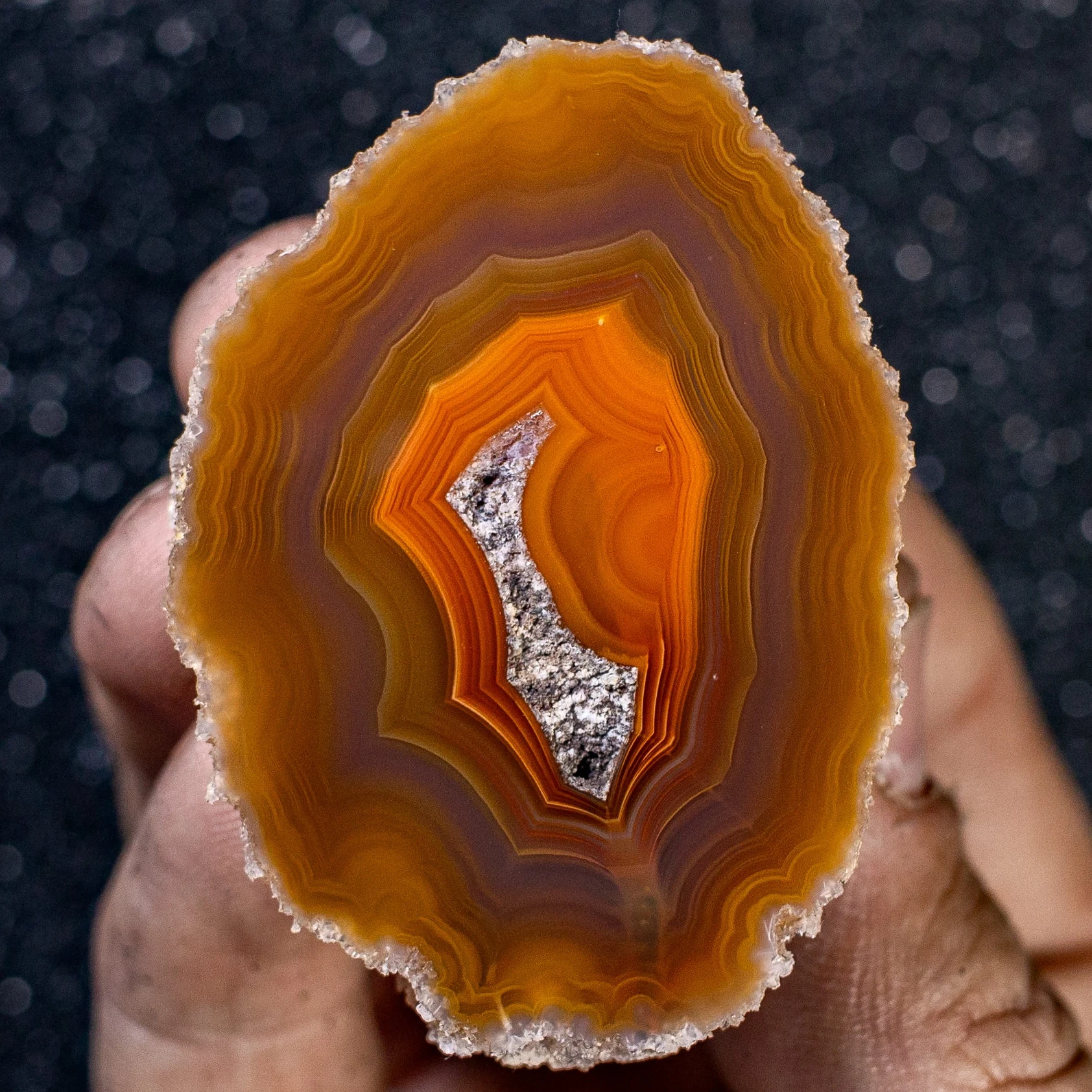 Orange Coyamito Agate from Mexico - view 2