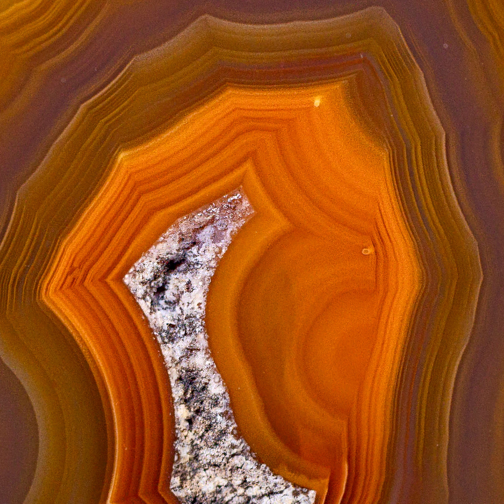 Orange Coyamito Agate from Mexico - view 3