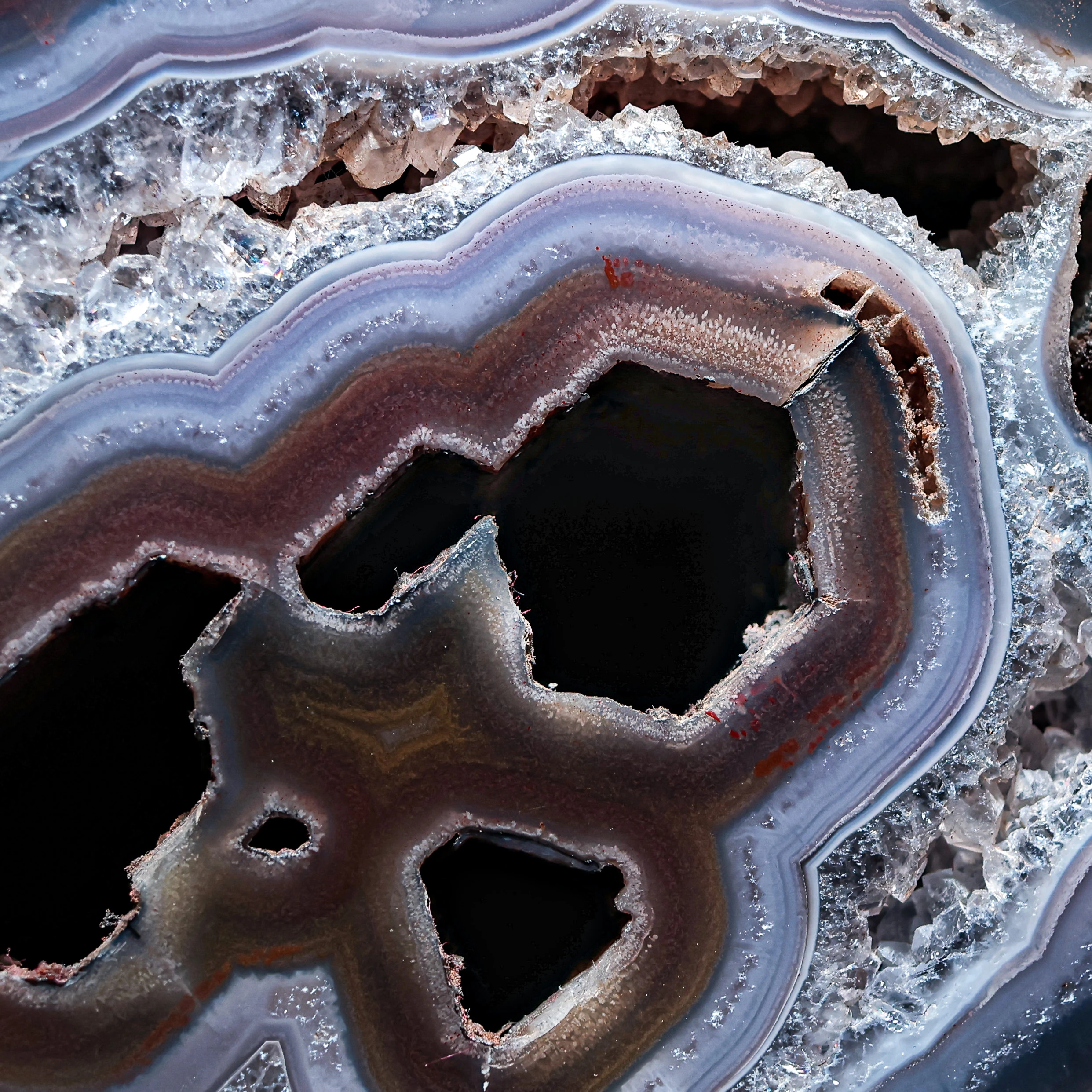 Chambered Echo - view 3