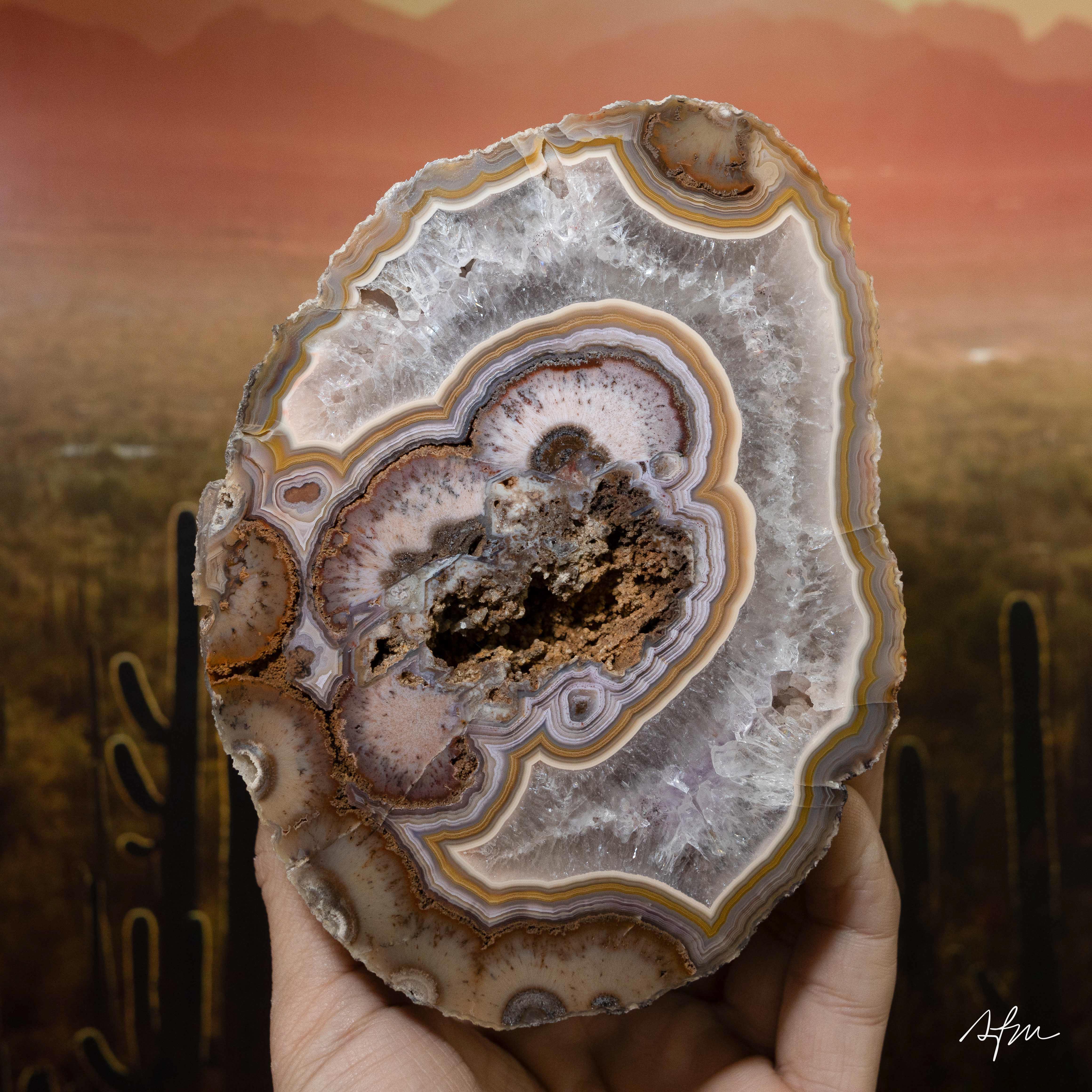 Saffron Veil - view 2