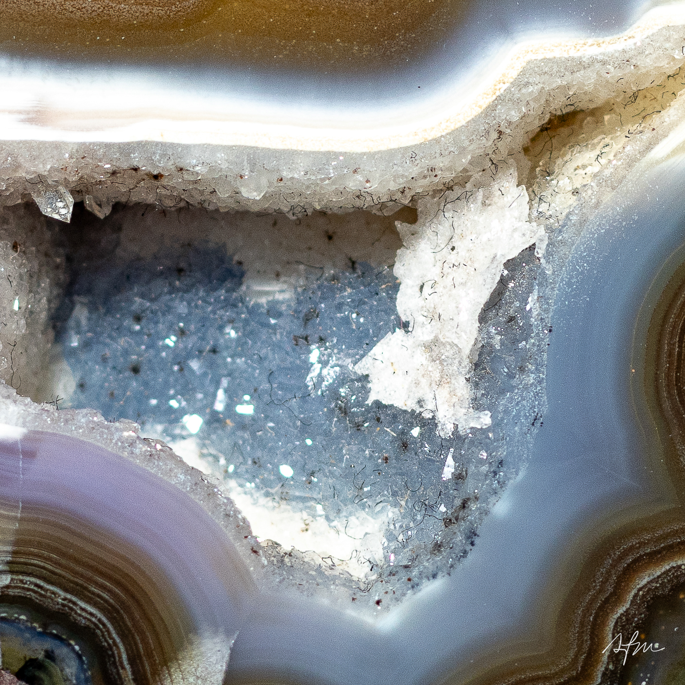 Olive Druse - view 3