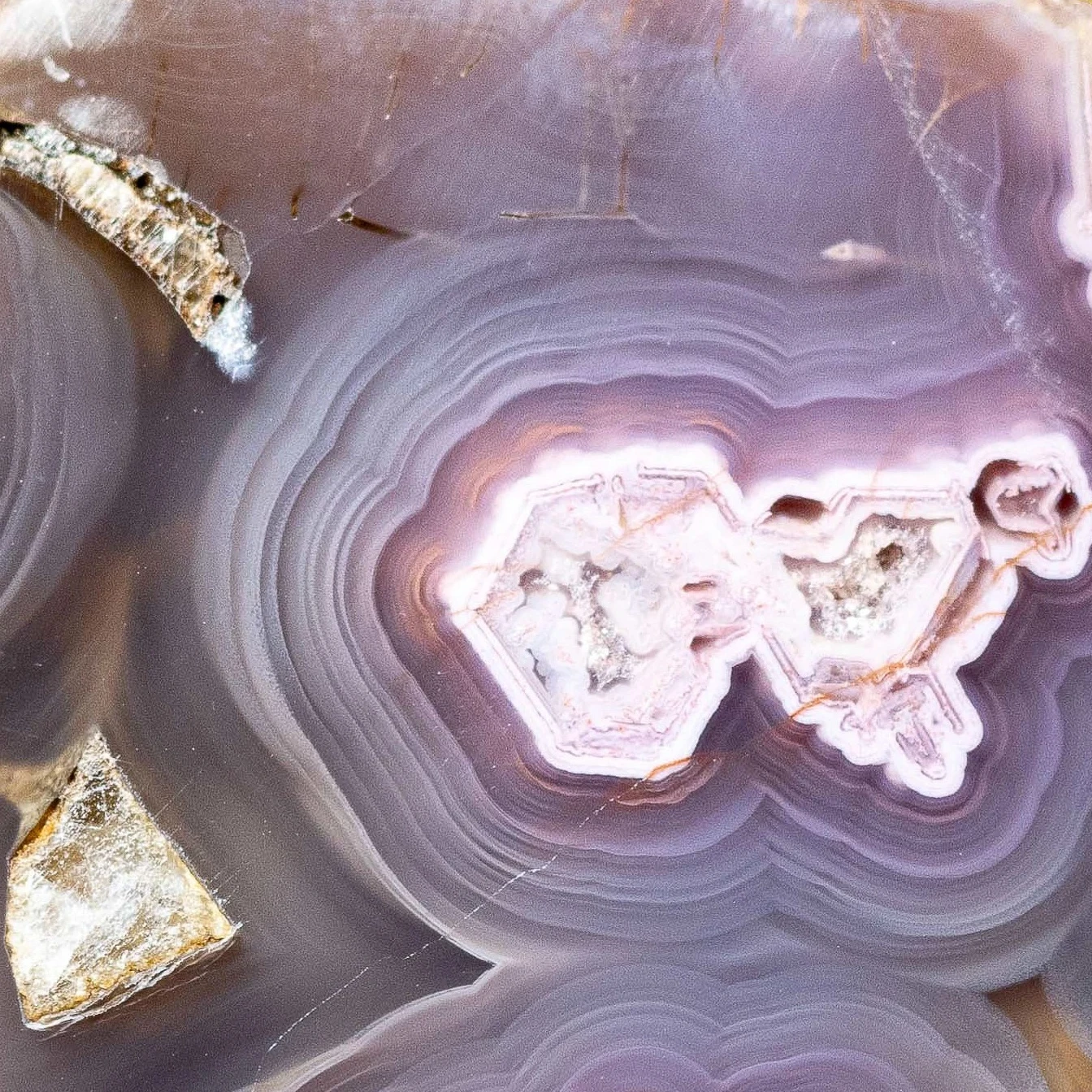 Violet Relic - view 4