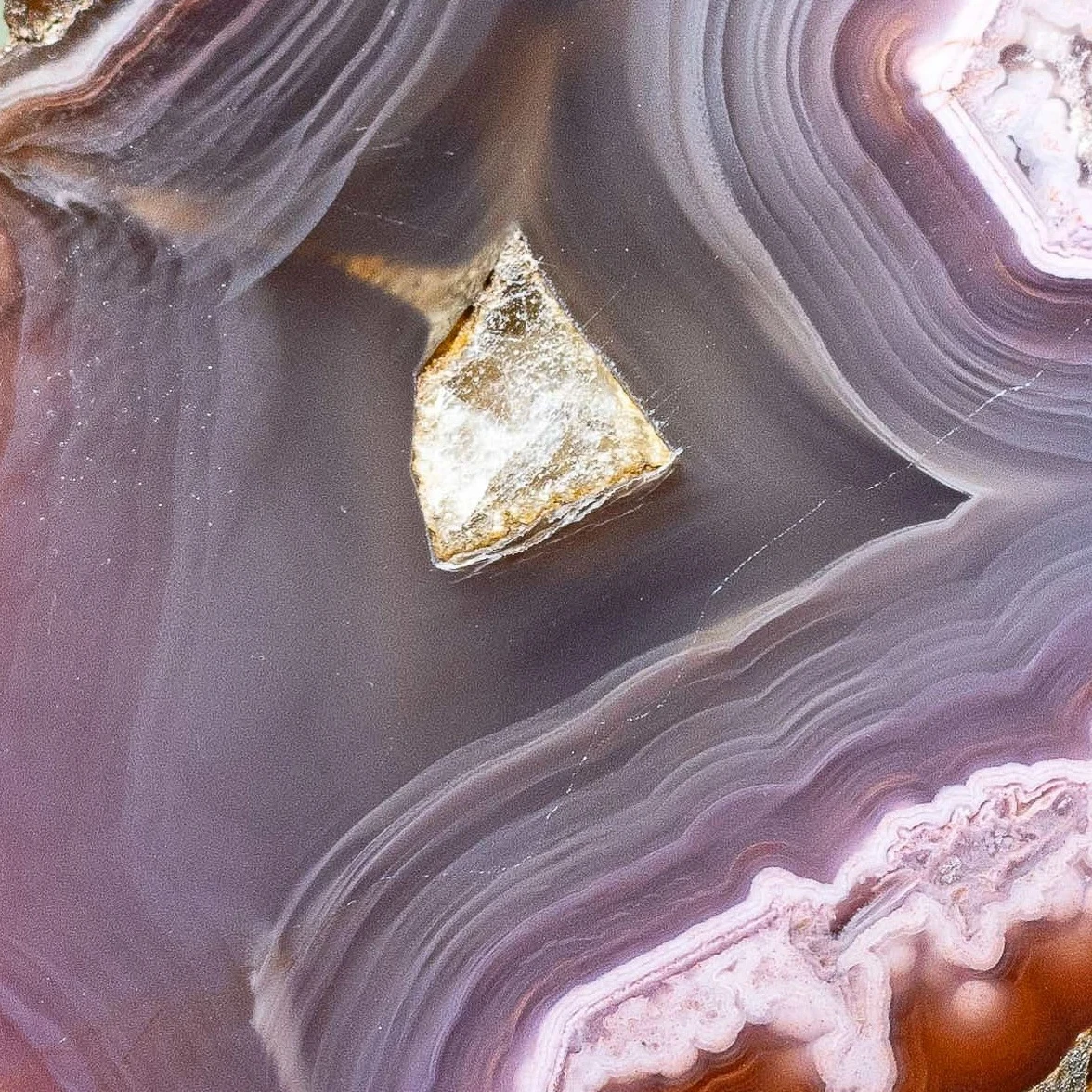 Violet Relic - view 5