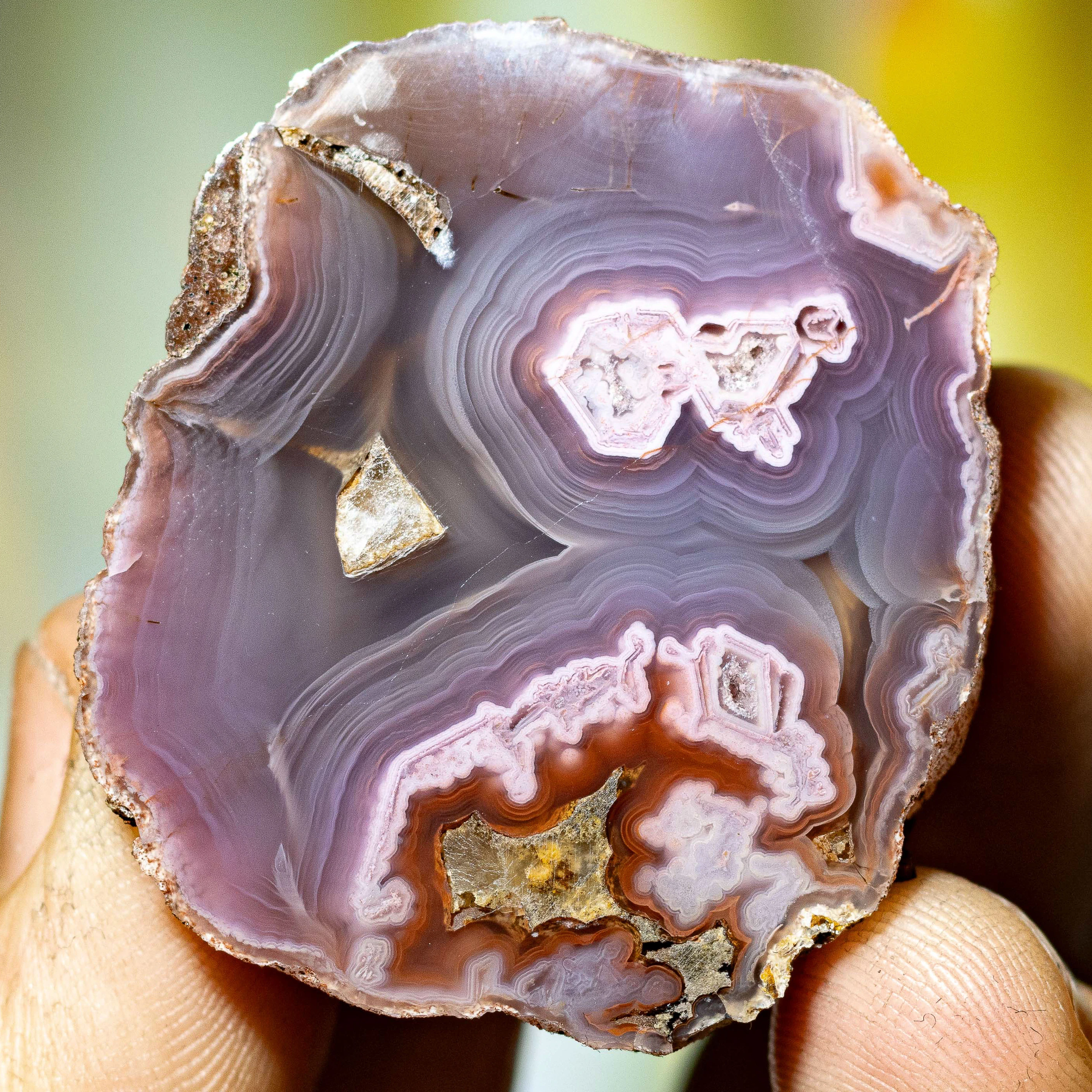 Violet Relic - view 2