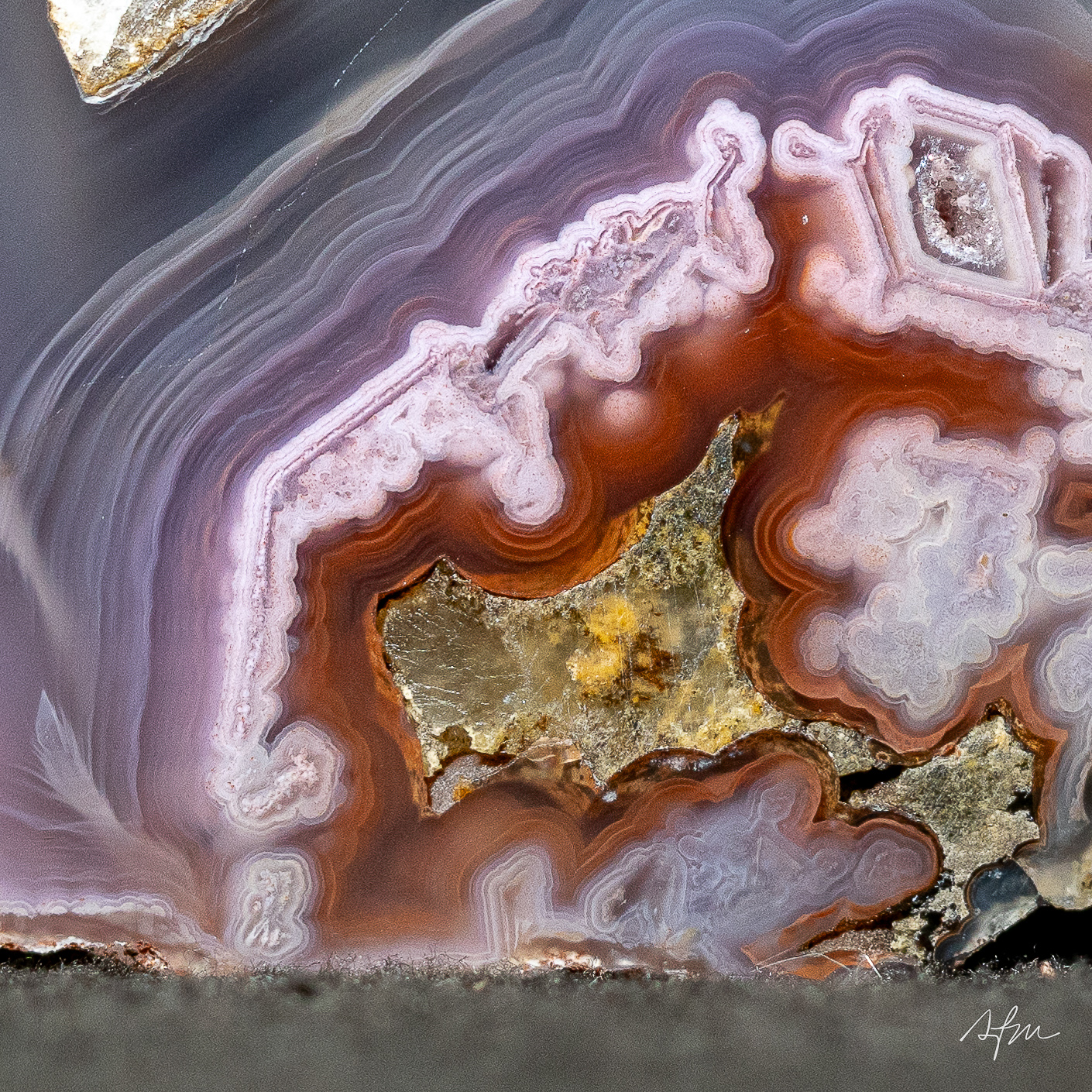 Violet Relic - view 3