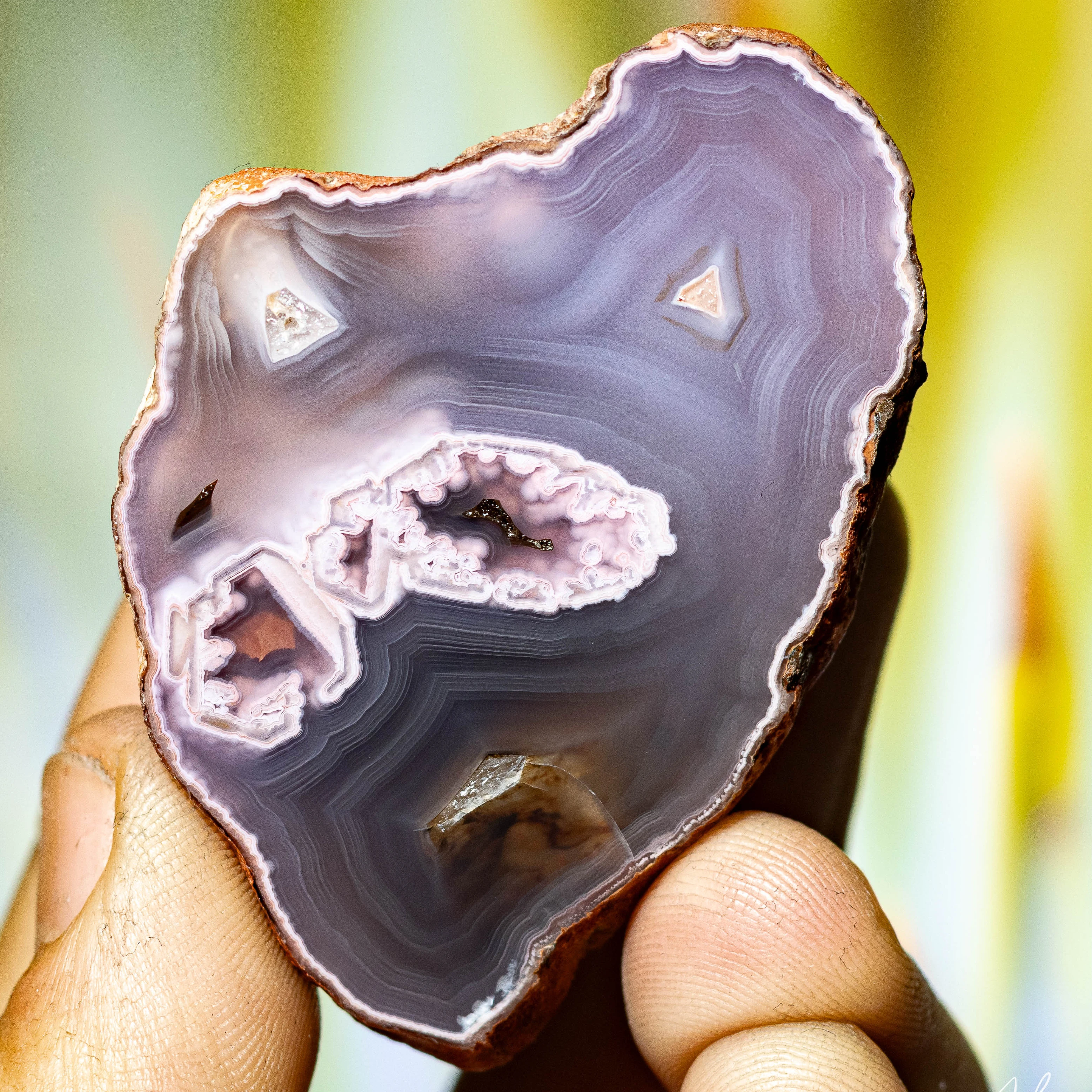 Misty Aura - view 2