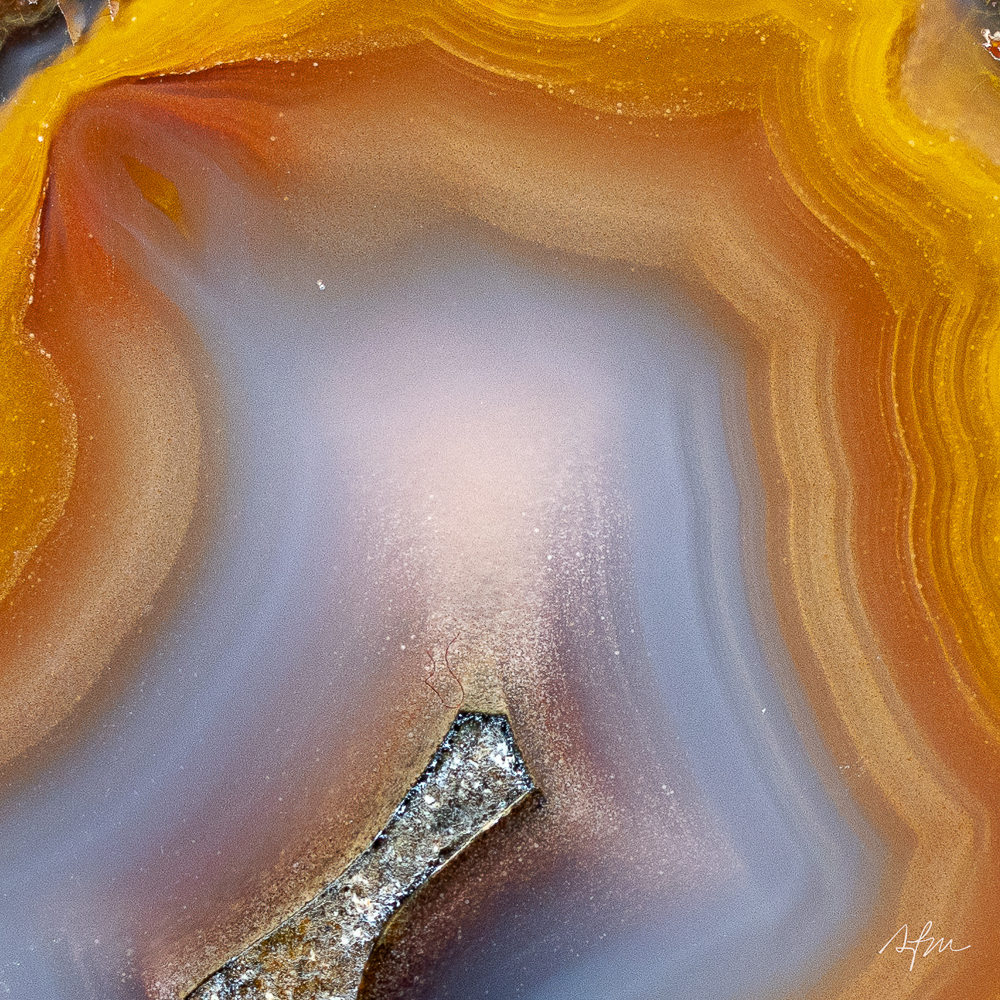 Sunlit Currents - view 3