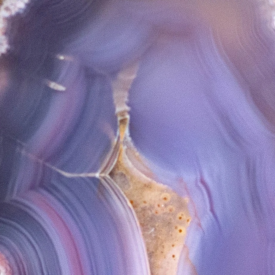 Portal Mist - view 4