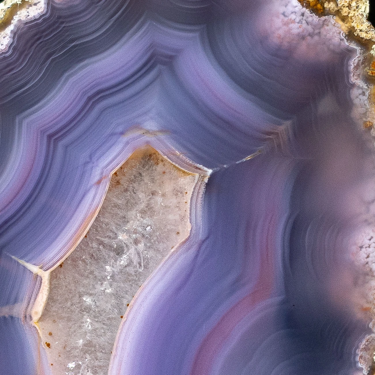 Quartz Vein - view 4