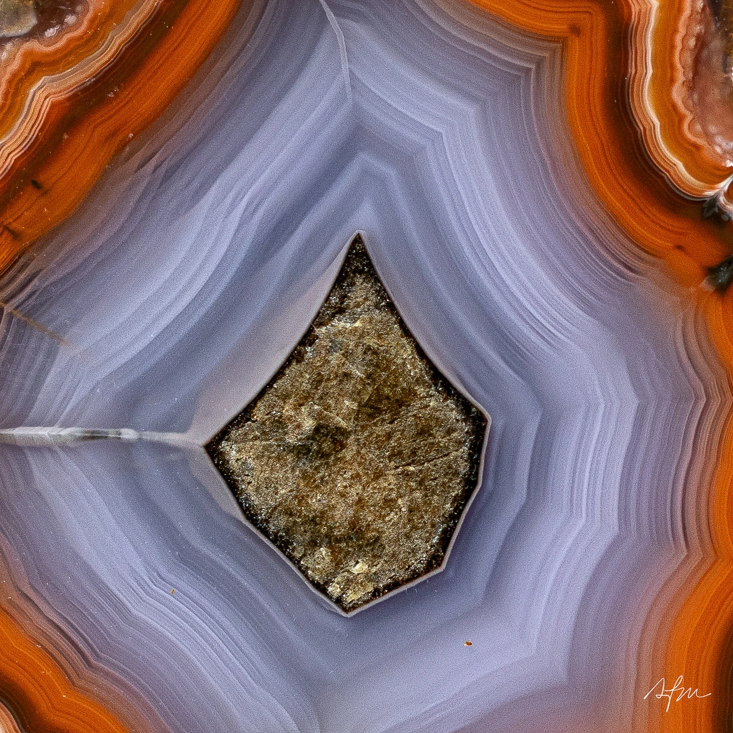 Lavender Beam - view 4