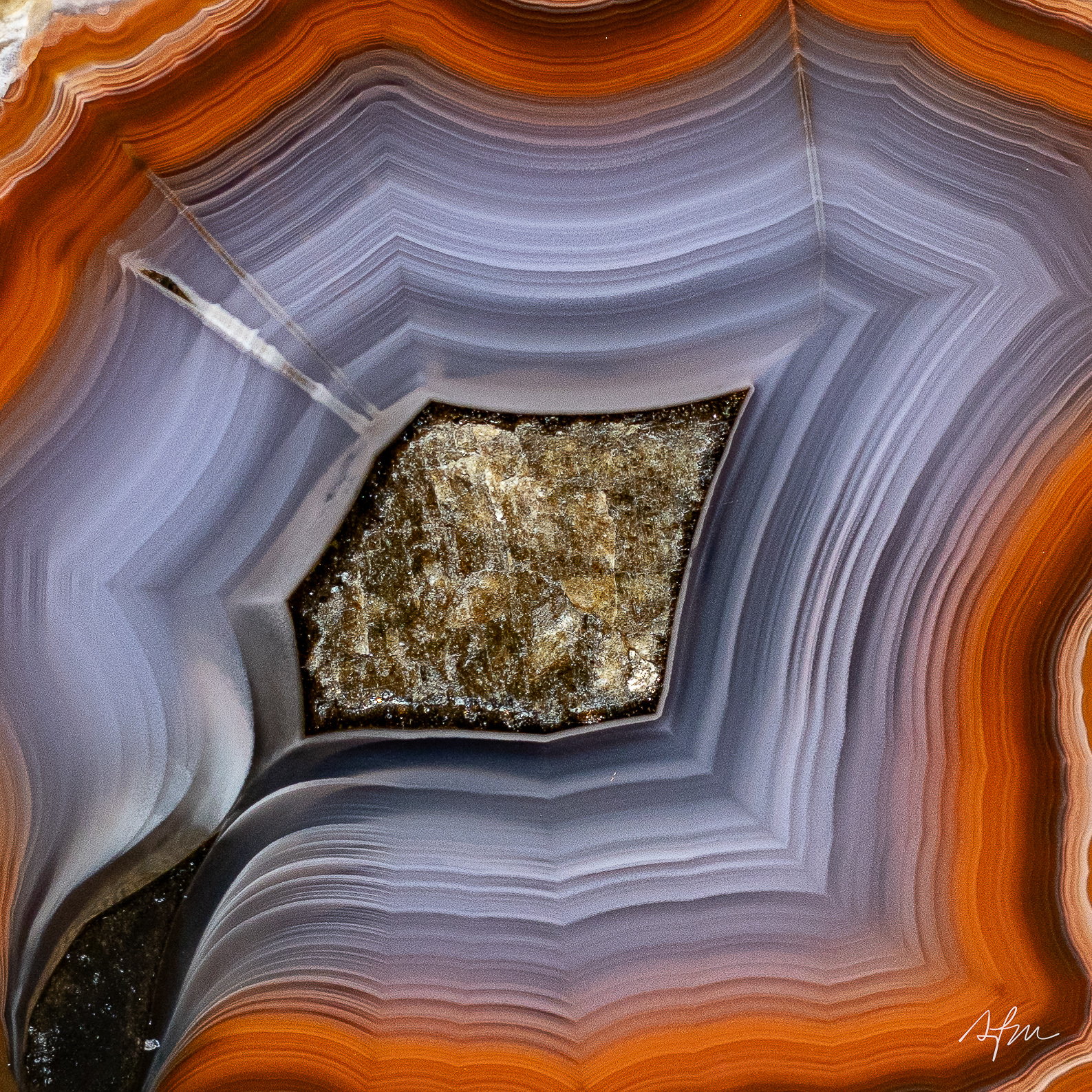 Silken Veil - view 3