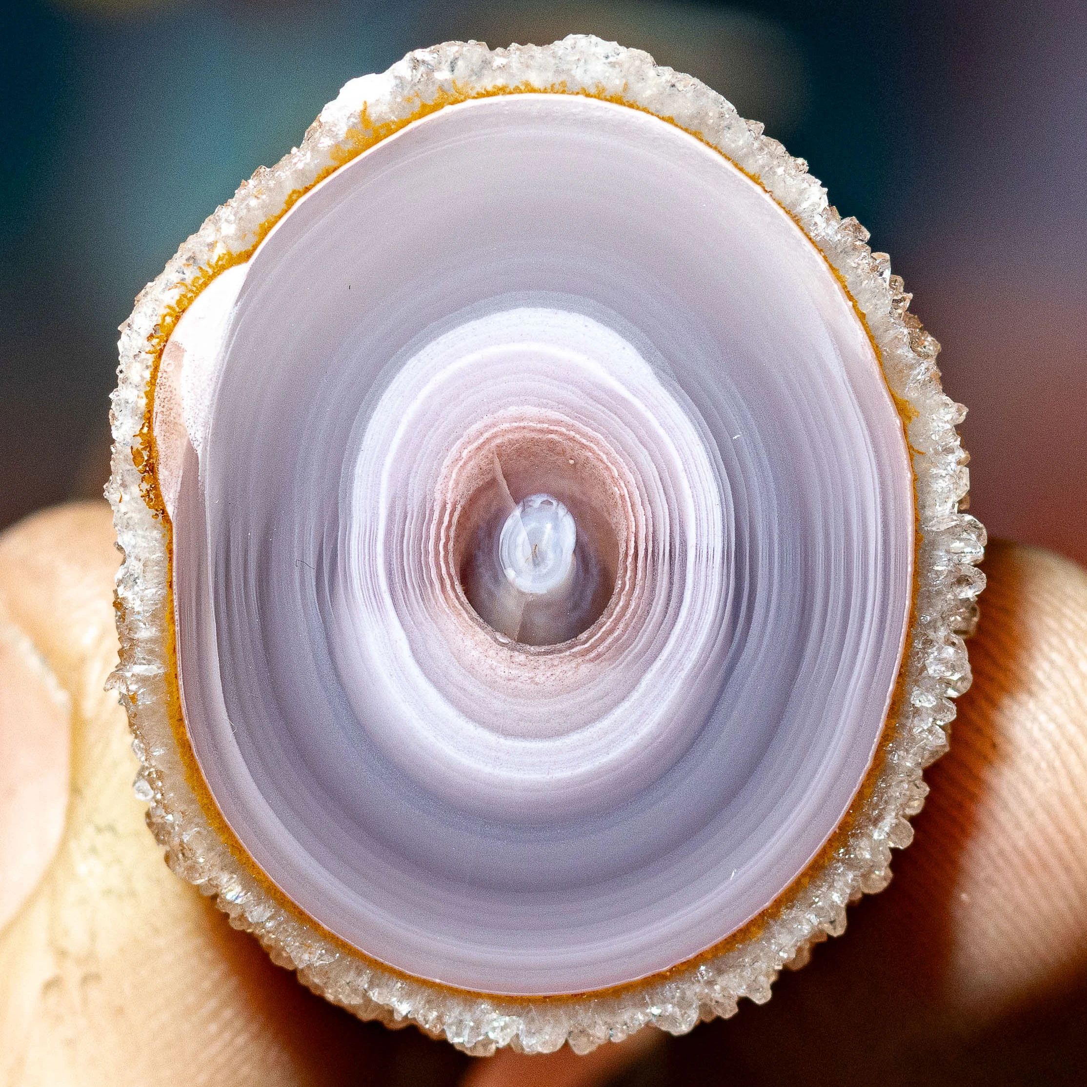 Silken Rings - view 2