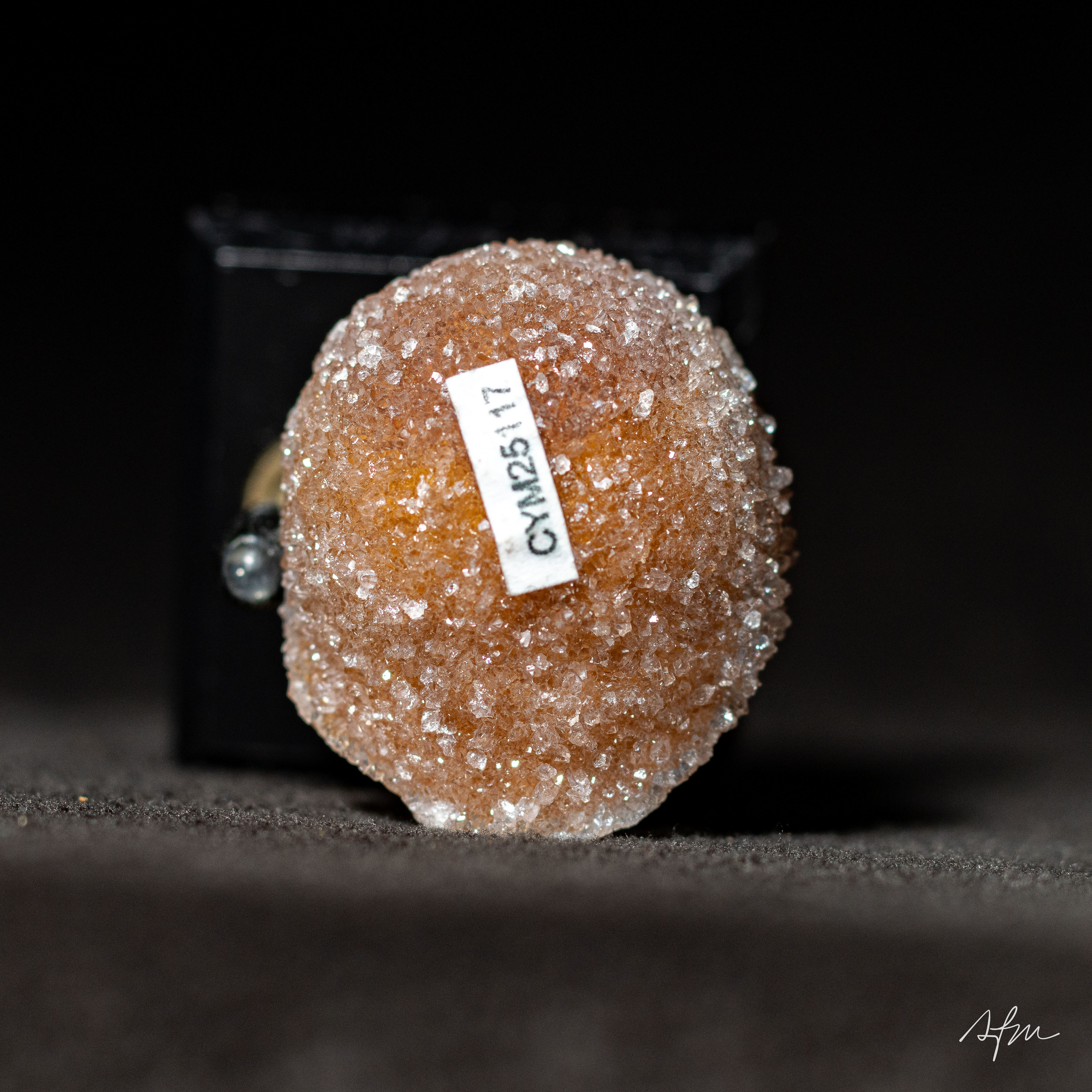 Silken Rings - view 4
