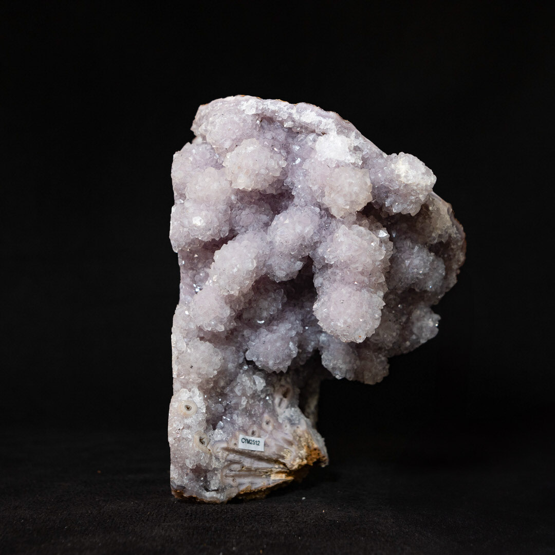 Ice Star - view 5