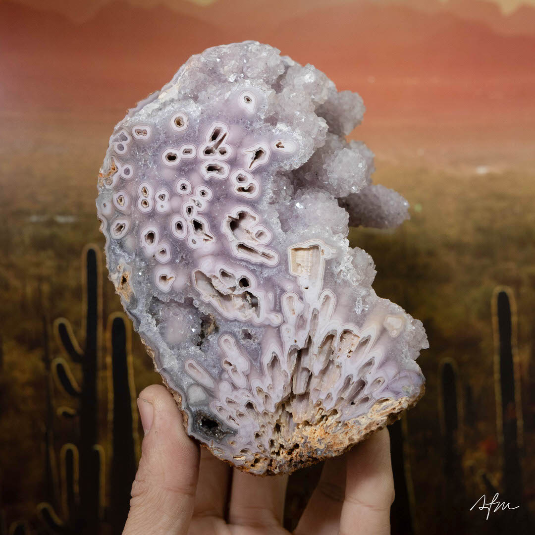 Ice Star - view 2