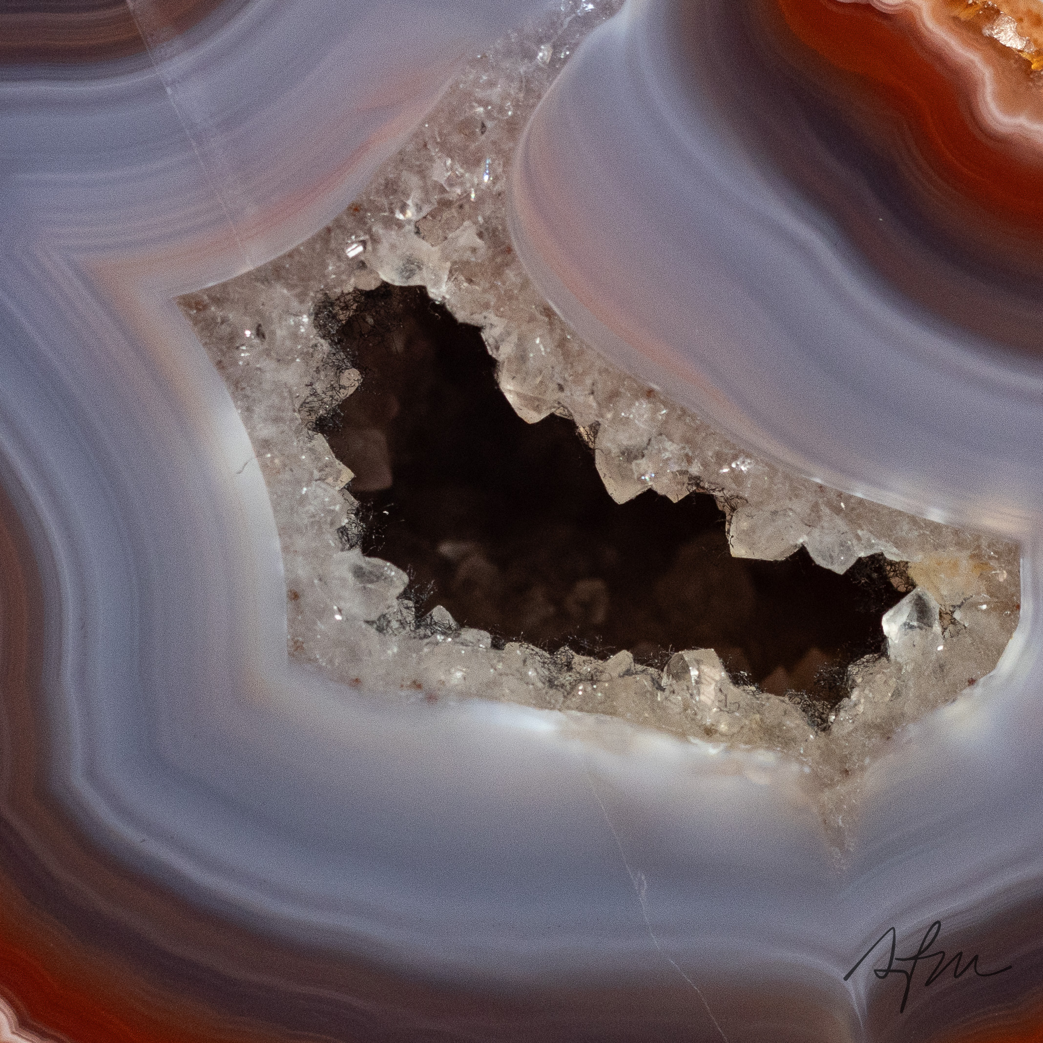 Fiery Silence - view 3