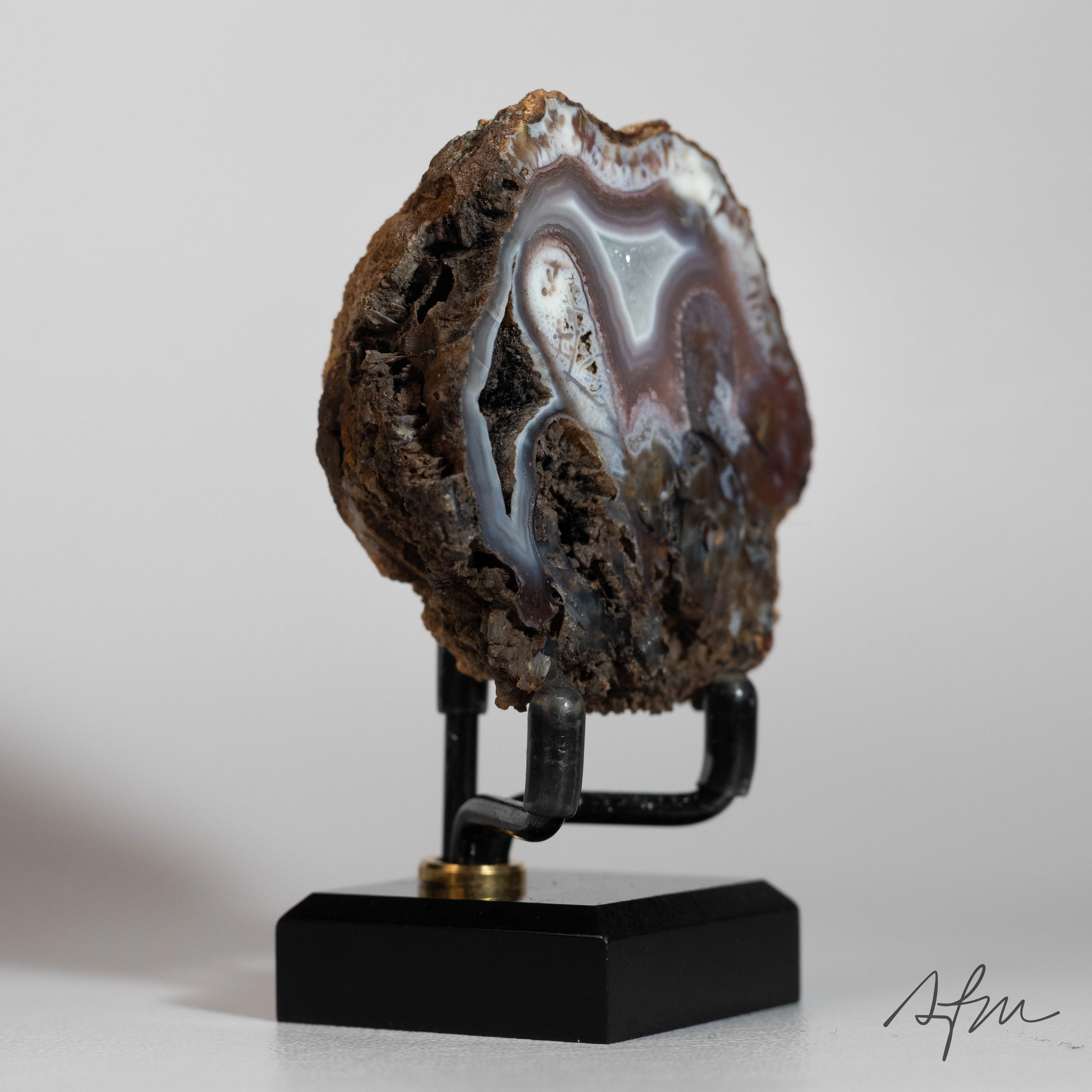 Talon Crest - view 5