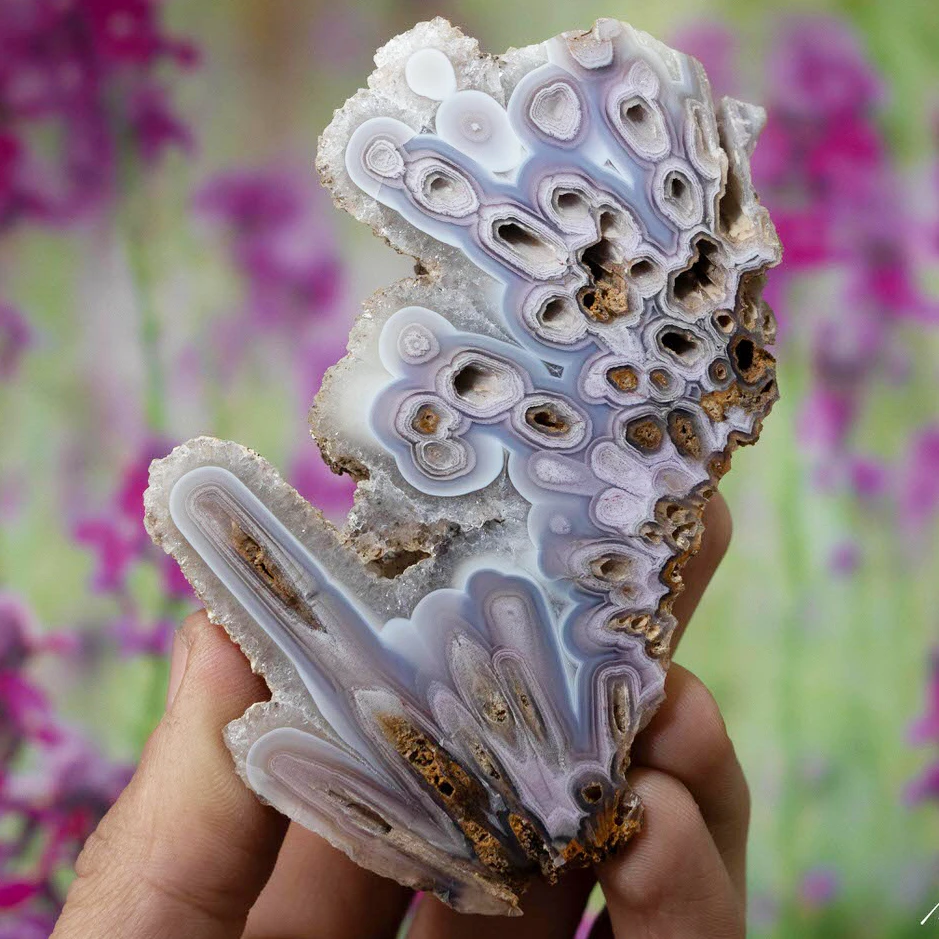 Flourish - view 2