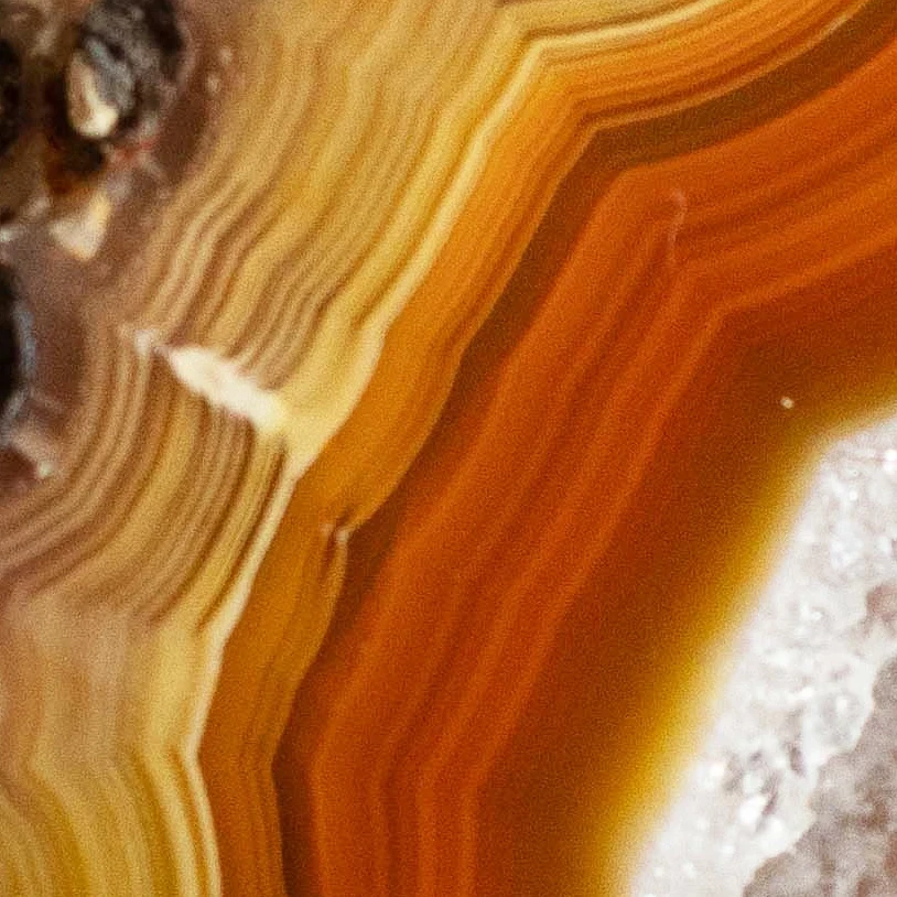 Golden Ember - view 4