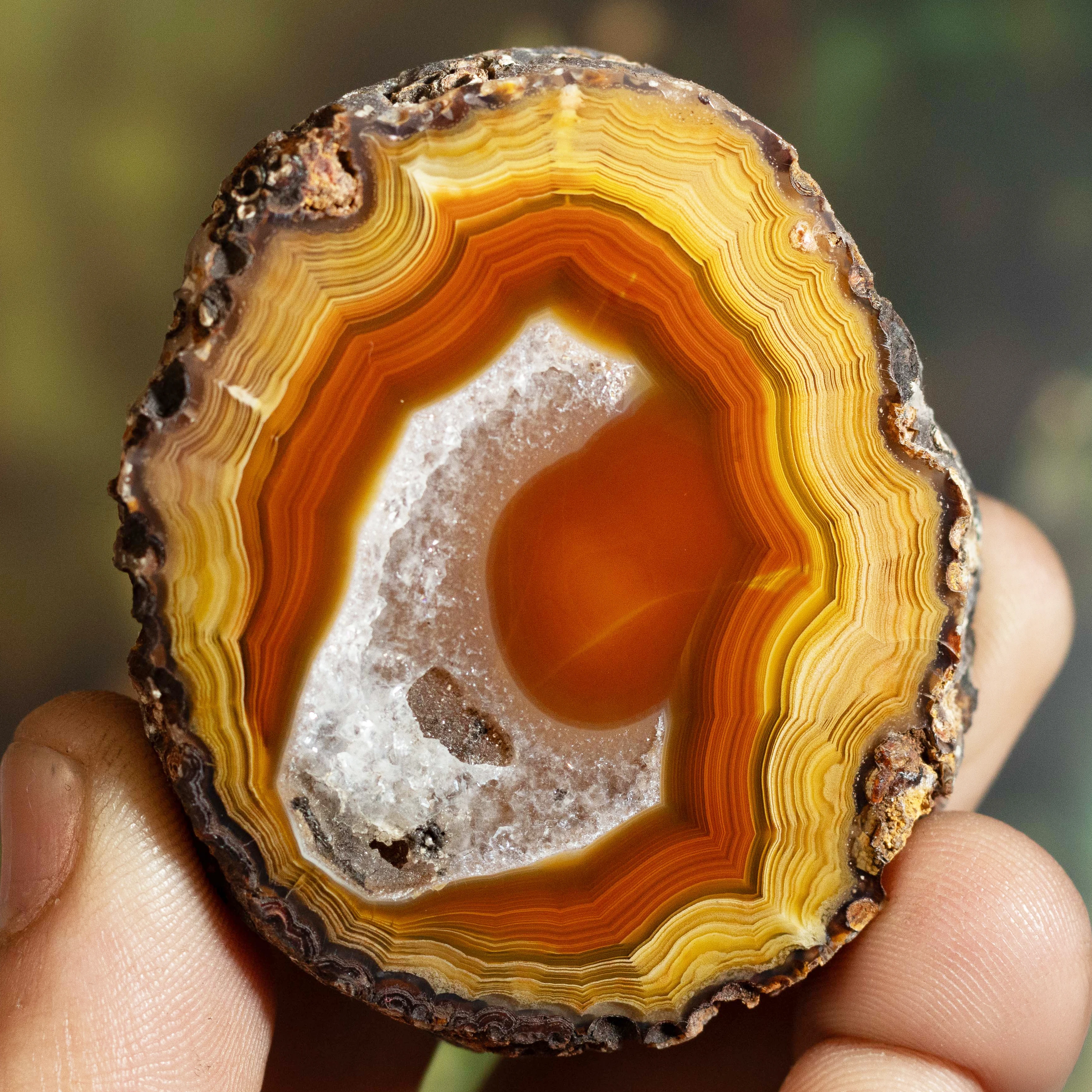 Golden Ember - view 2