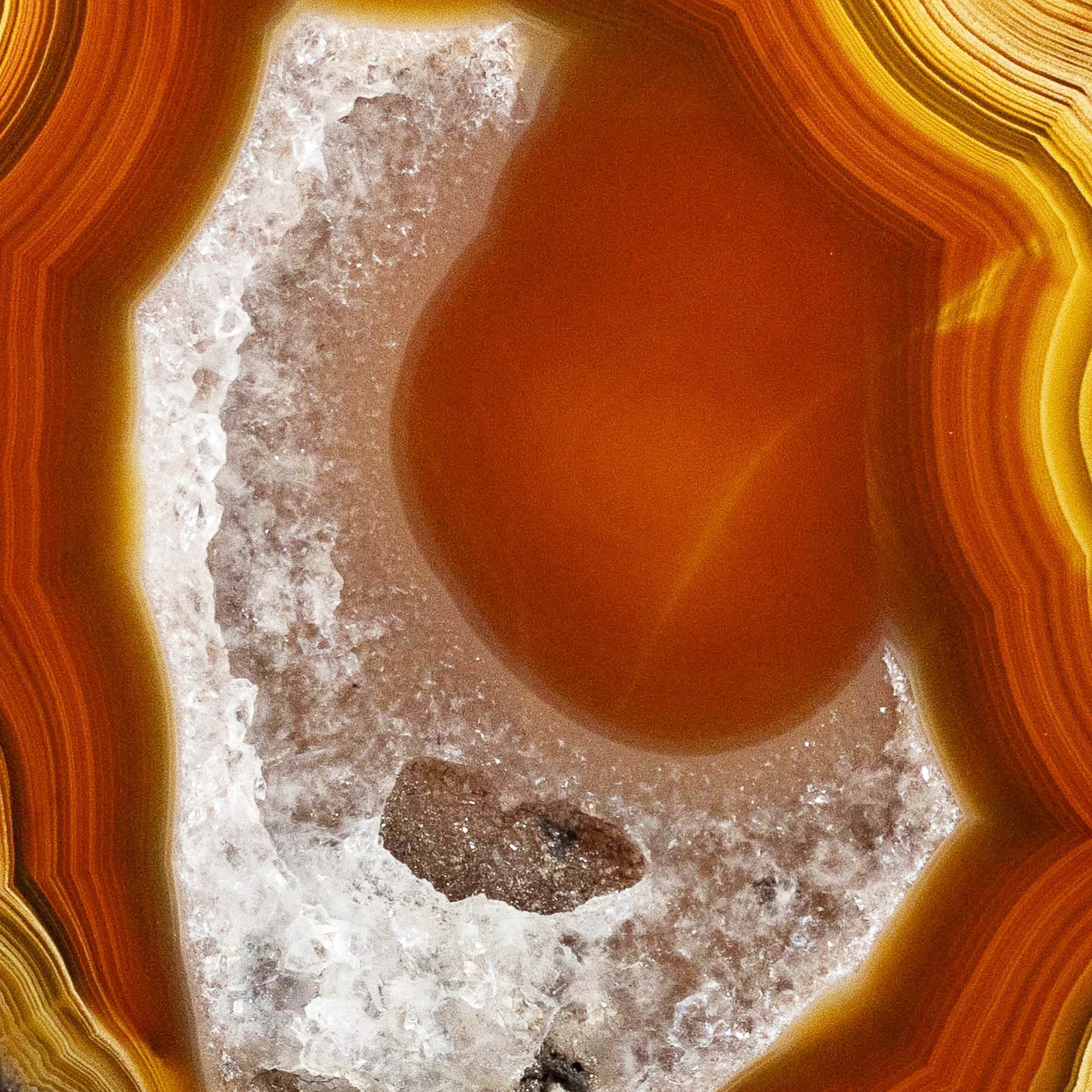 Golden Ember - view 5