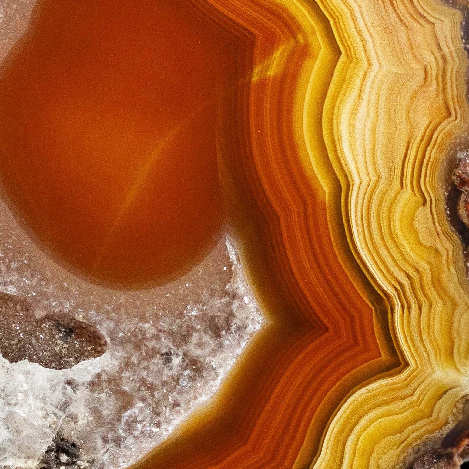 Golden Ember - view 3