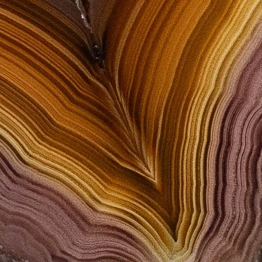 Solar Vein - view 4