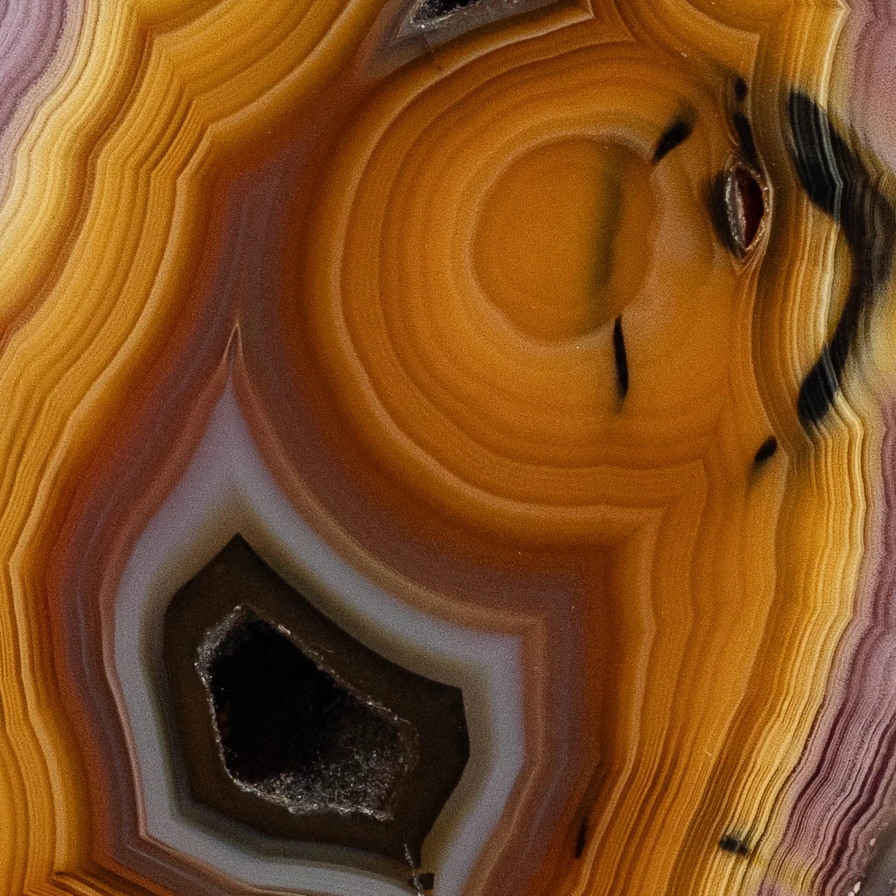 Solar Vein - view 3