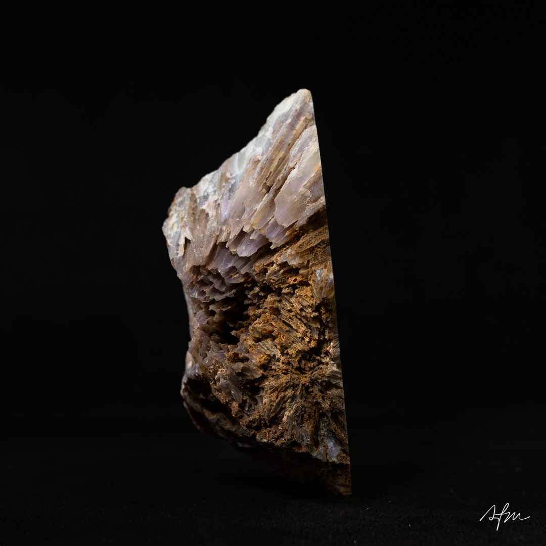 Soft Unveil - view 4
