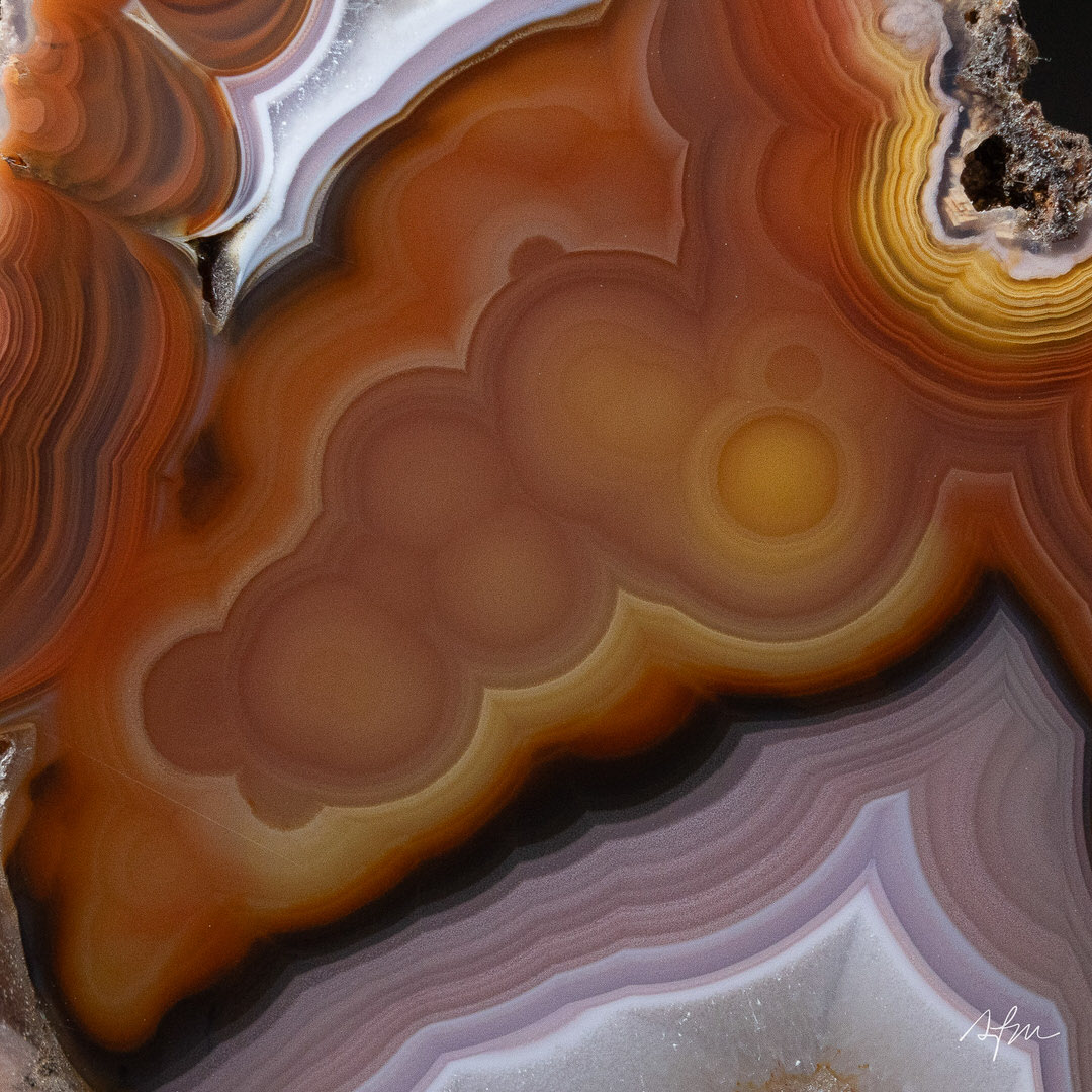Vortex Sunrise - view 3