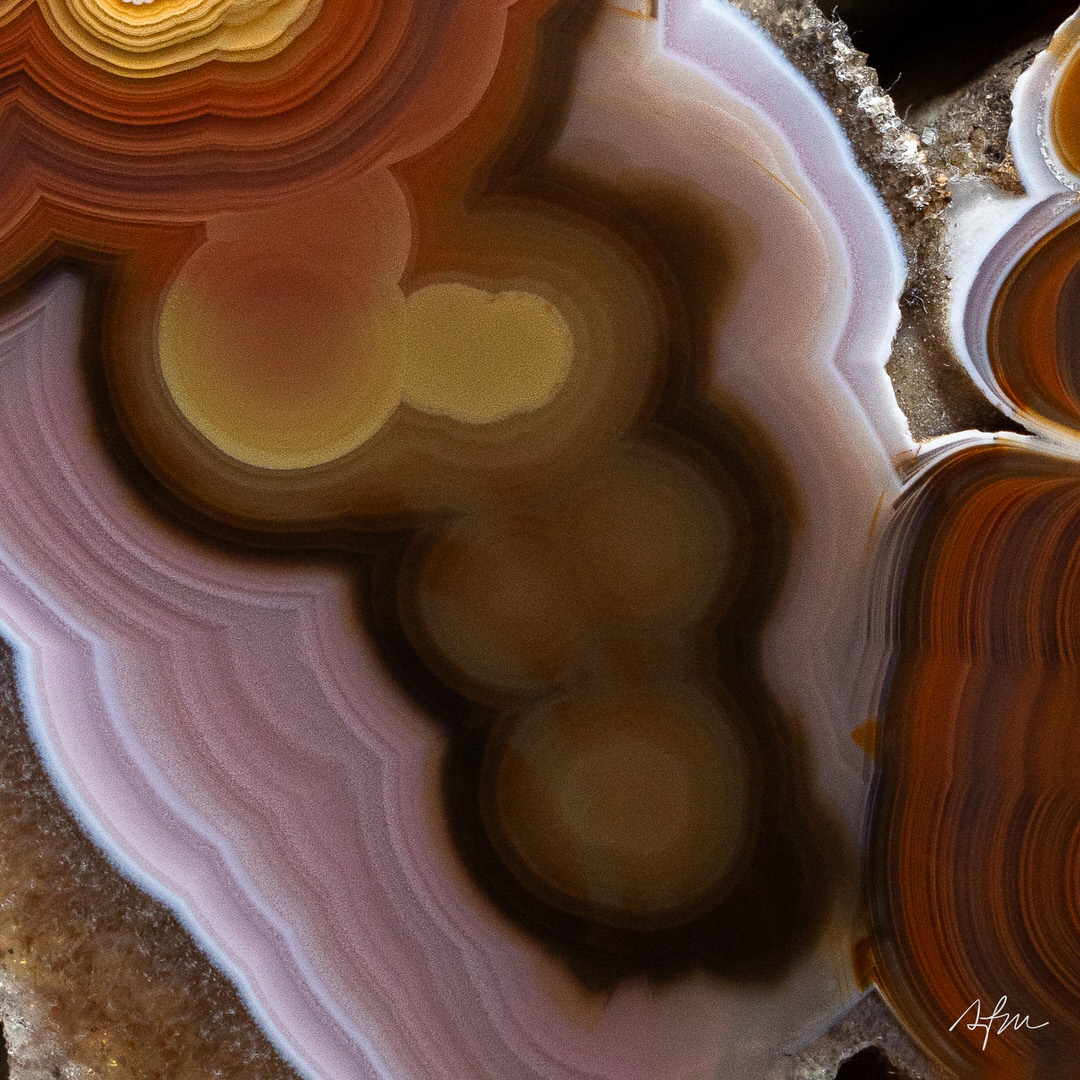 Mosaic Drop - view 3