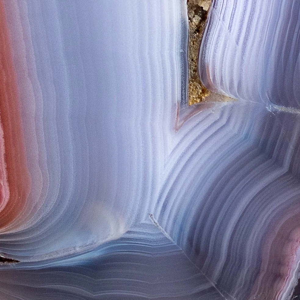 Coral Heart - view 5