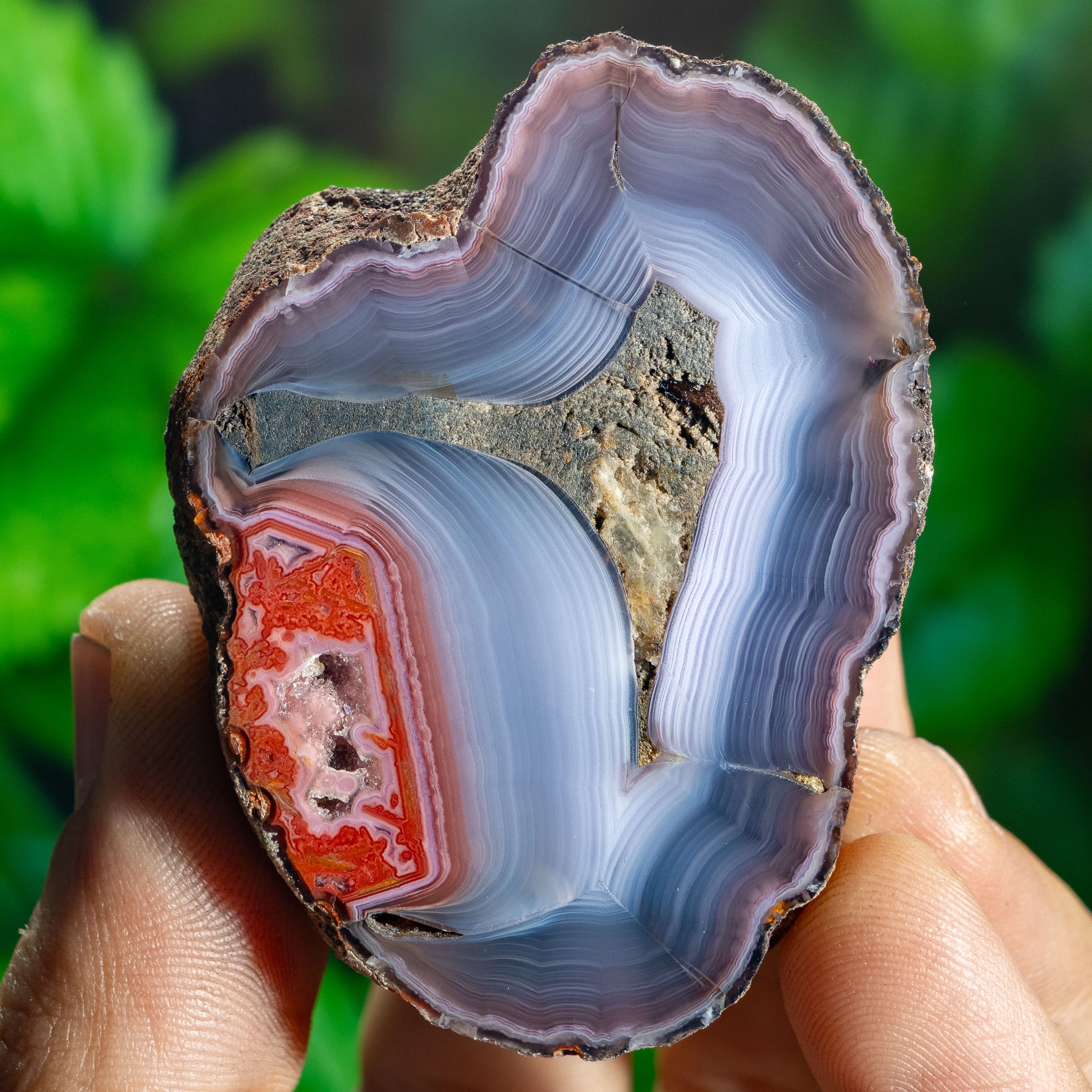 Coral Heart - view 2