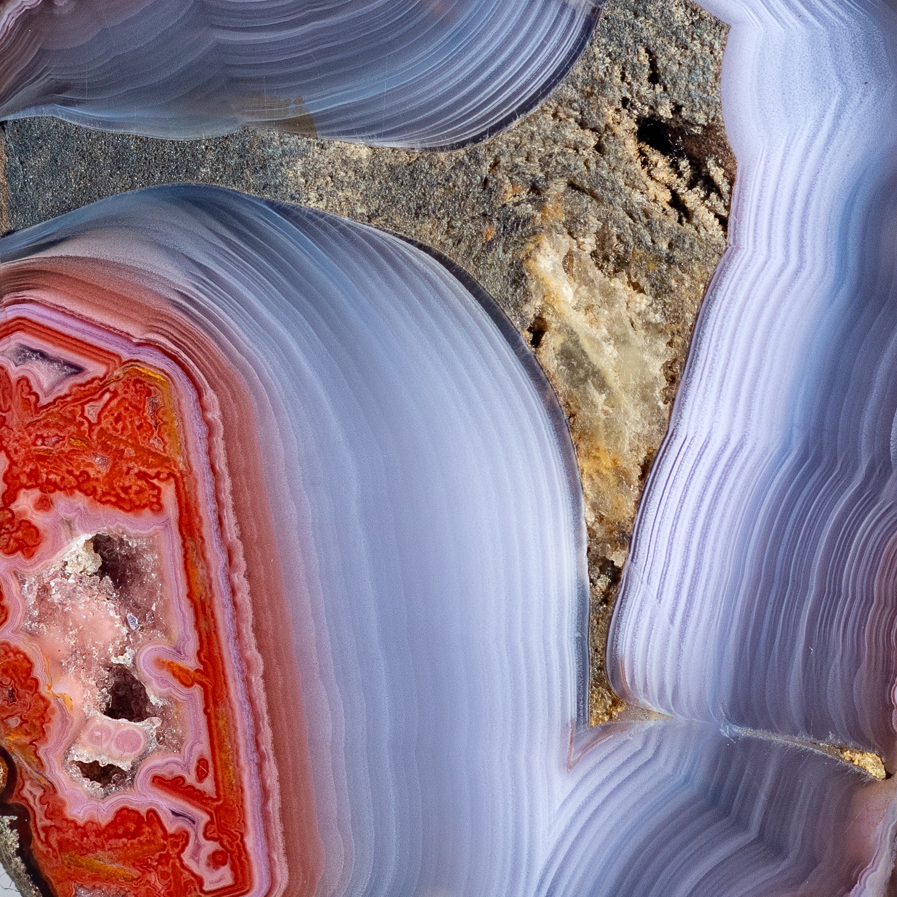 Coral Heart - view 3
