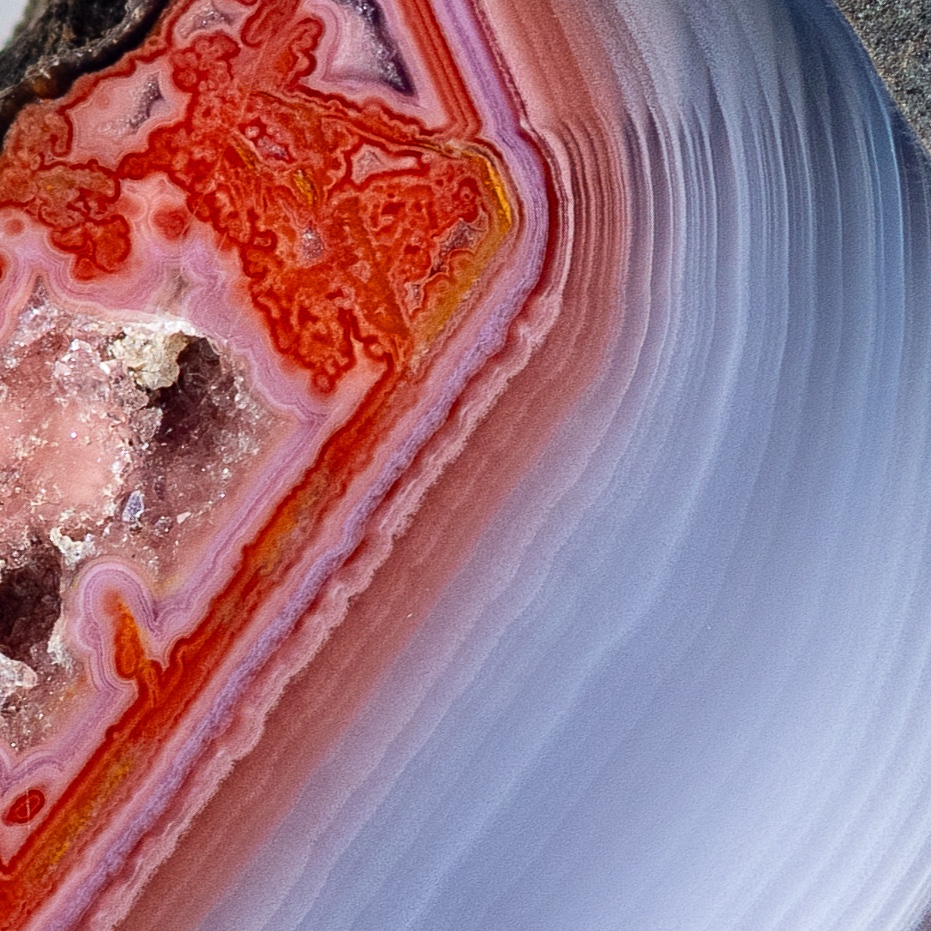 Coral Heart - view 4