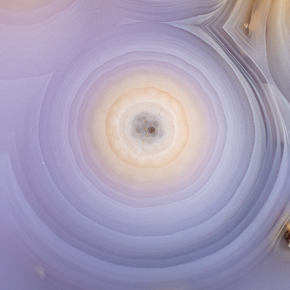 Oculus - view 4