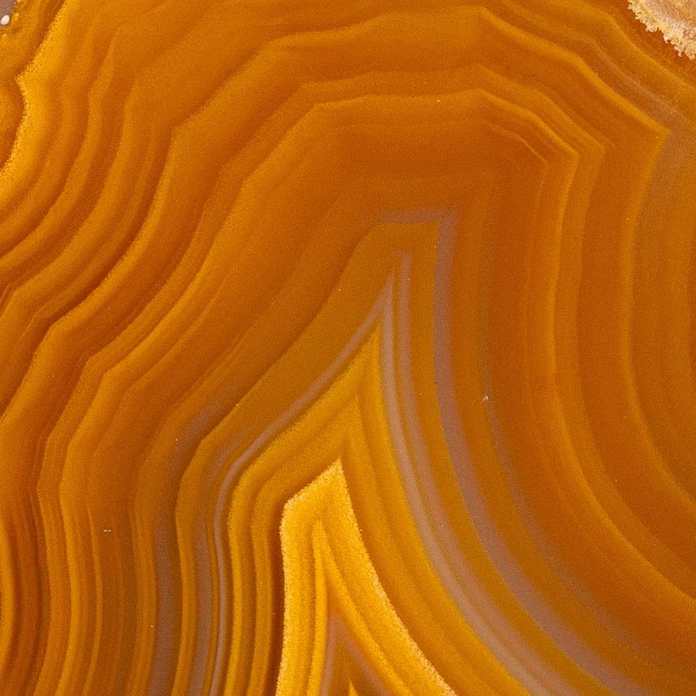 Gilded Gold - view 5