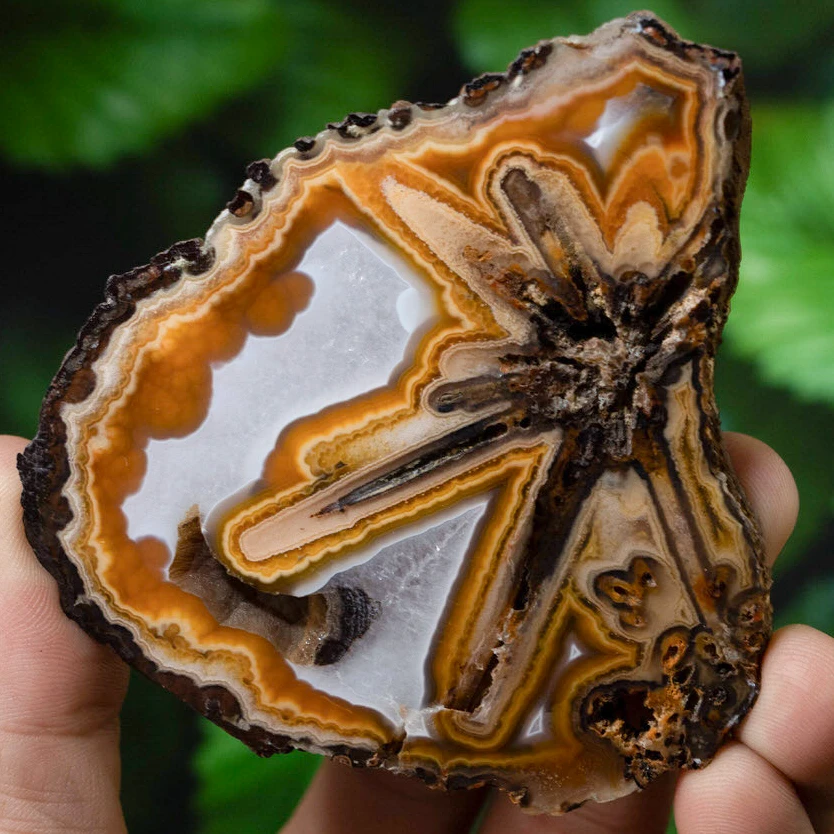 Starburst - view 2