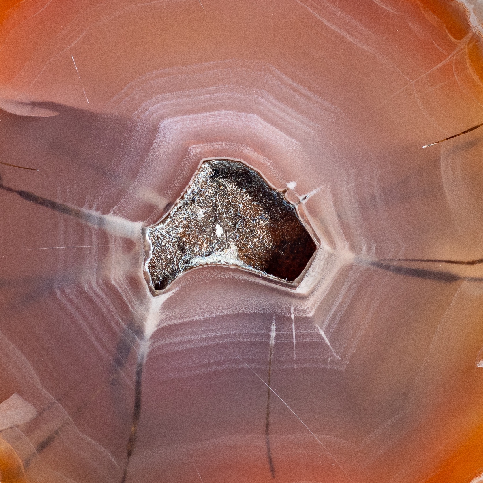 Cobweb - view 4